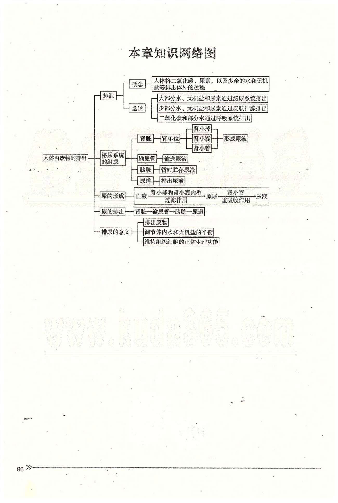 一課一練創(chuàng)新練習(xí)七年級下生物江西人民出版社 第五章 人體內(nèi)廢物的排出 [7]