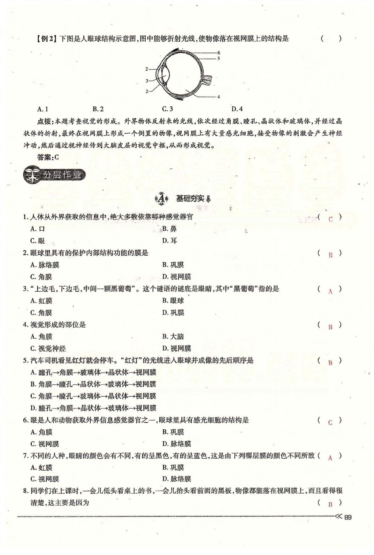 一課一練創(chuàng)新練習(xí)七年級下生物江西人民出版社 第六章 人體生命活動的調(diào)節(jié) 第一、二節(jié) [3]