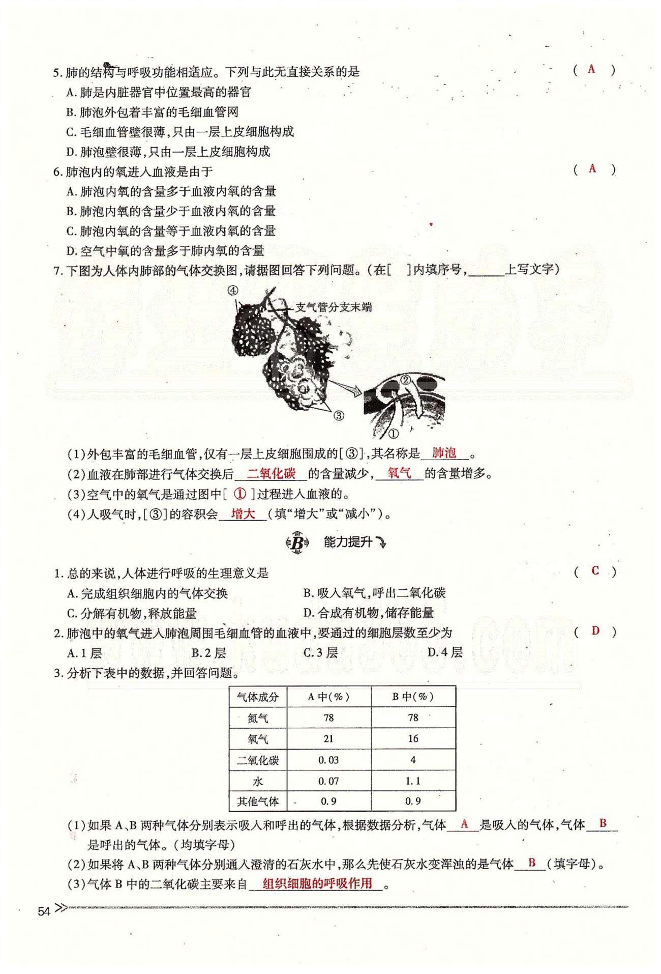 一課一練創(chuàng)新練習七年級下生物江西人民出版社 第三章 人體的呼吸 [10]