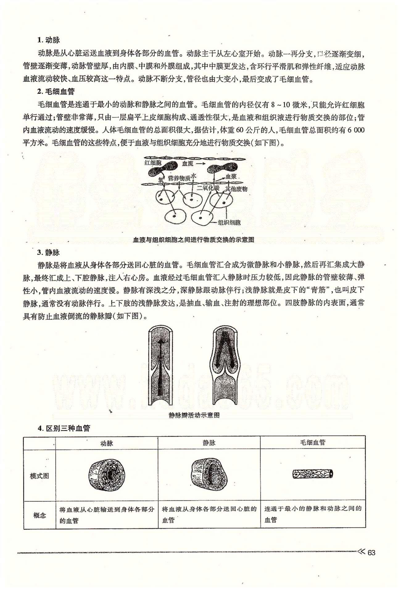 一課一練創(chuàng)新練習(xí)七年級下生物江西人民出版社 第四章 人體內(nèi)物質(zhì)的運輸 第一、二節(jié) [7]