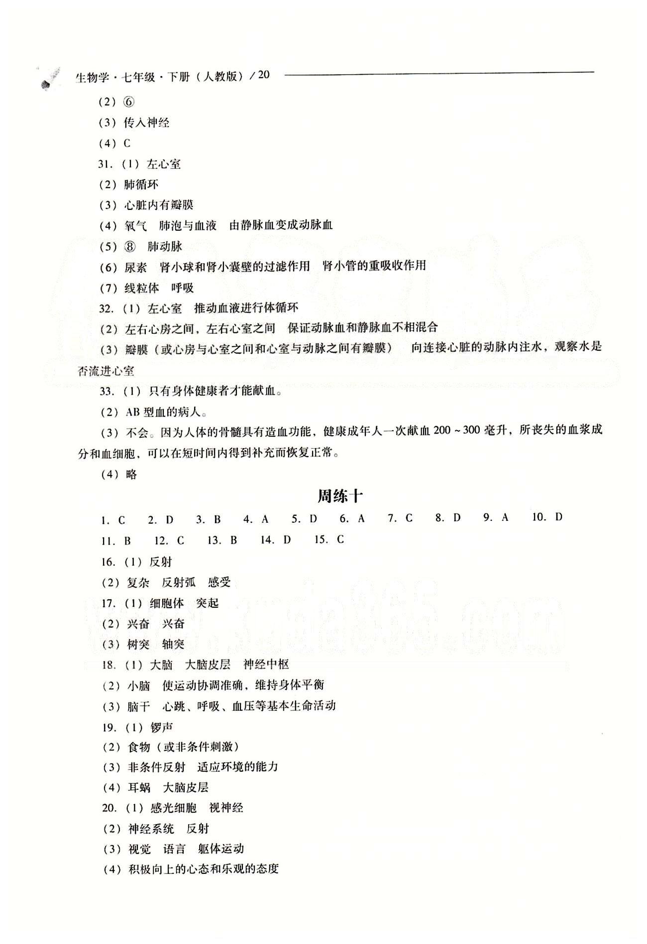 2015年新課程問題解決導(dǎo)學(xué)方案七年級生物學(xué)下冊人教版 問題解決導(dǎo)學(xué)訓(xùn)練案 [7]