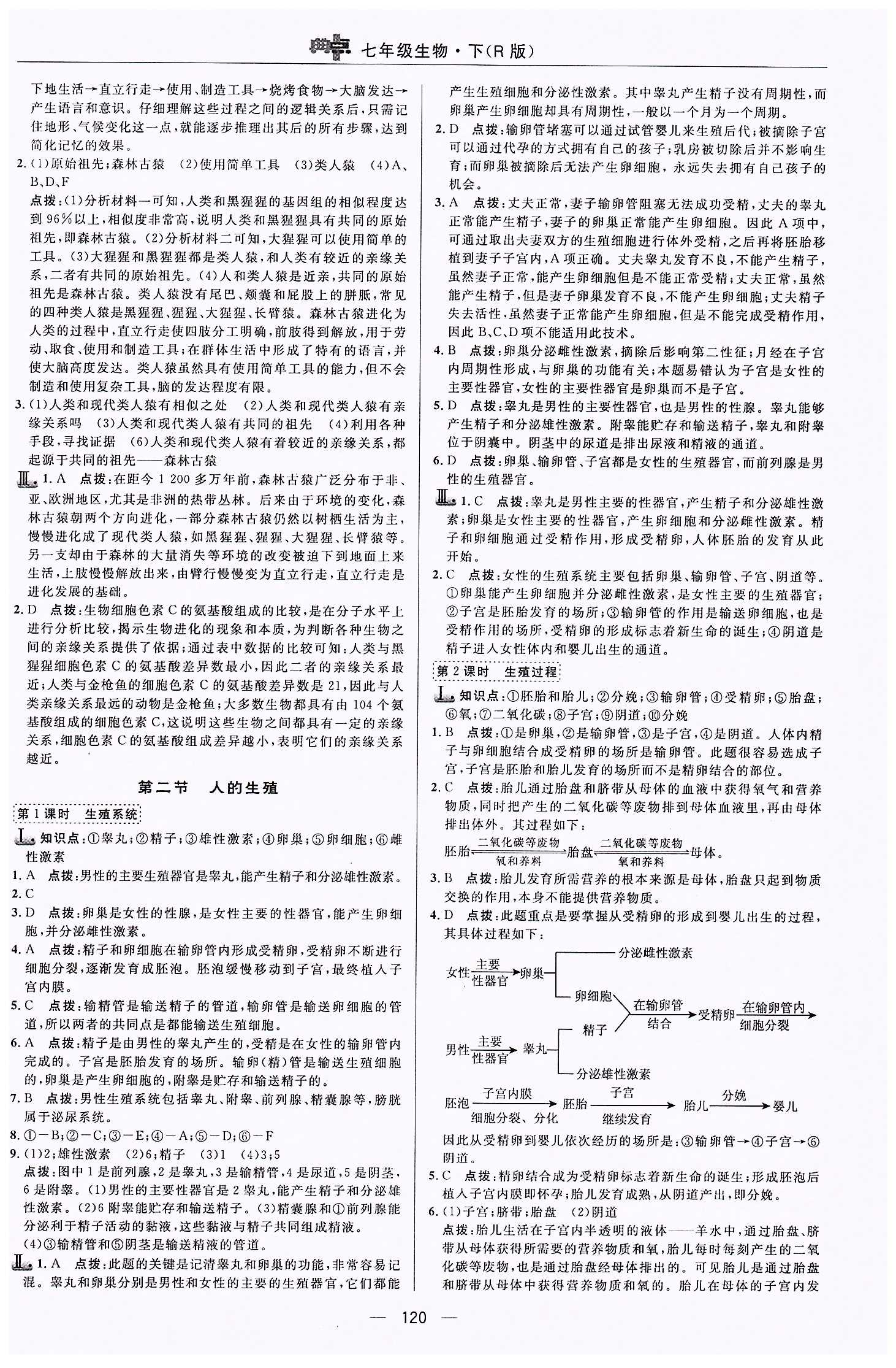 典中点-综合应用创新题-荣德基初中系列七年级下生物龙门书局 第一章 人的由来 [2]