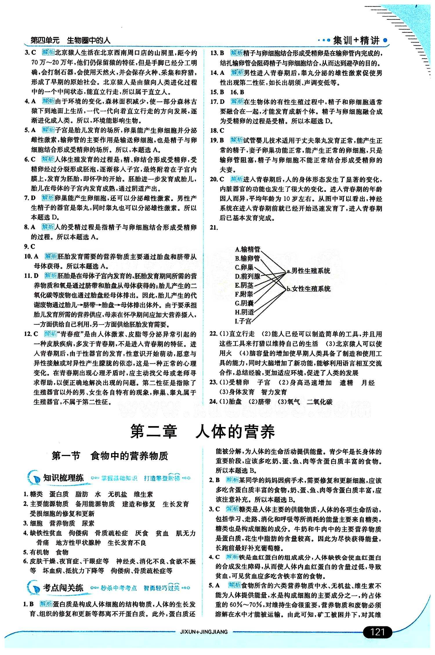 走向中考考場 集訓版七年級下生物現(xiàn)代教育出版社 第一章 人的由來 [3]