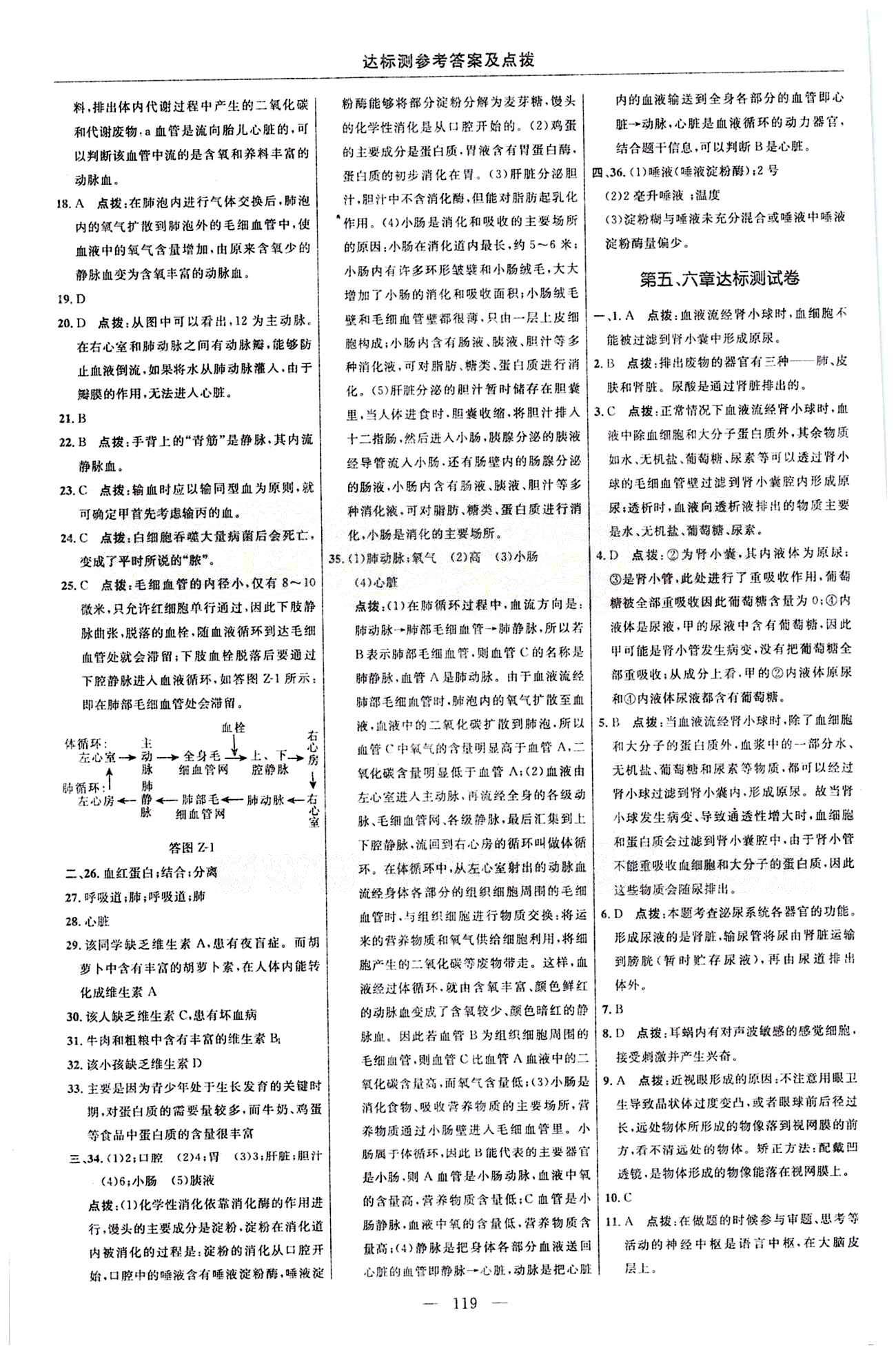 2015年点拨训练七年级生物下册人教版 达标测答案与点拨 [5]