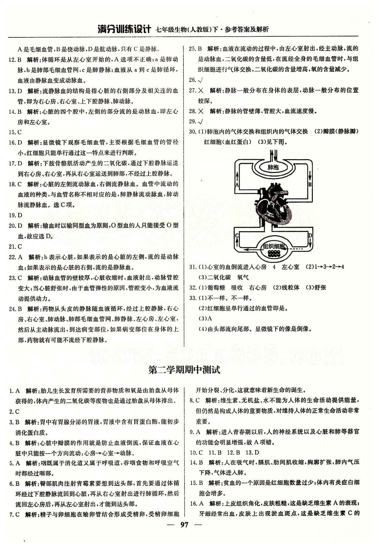 满分训练设计七年级下生物北京教育出版社 第四章 人体内物质的运输 期中测试 [4]