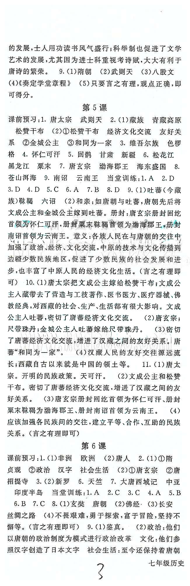 名師大課堂七年級(jí)下歷史吉林教育出版社 第一單元 繁榮與開(kāi)發(fā)的社會(huì) [3]