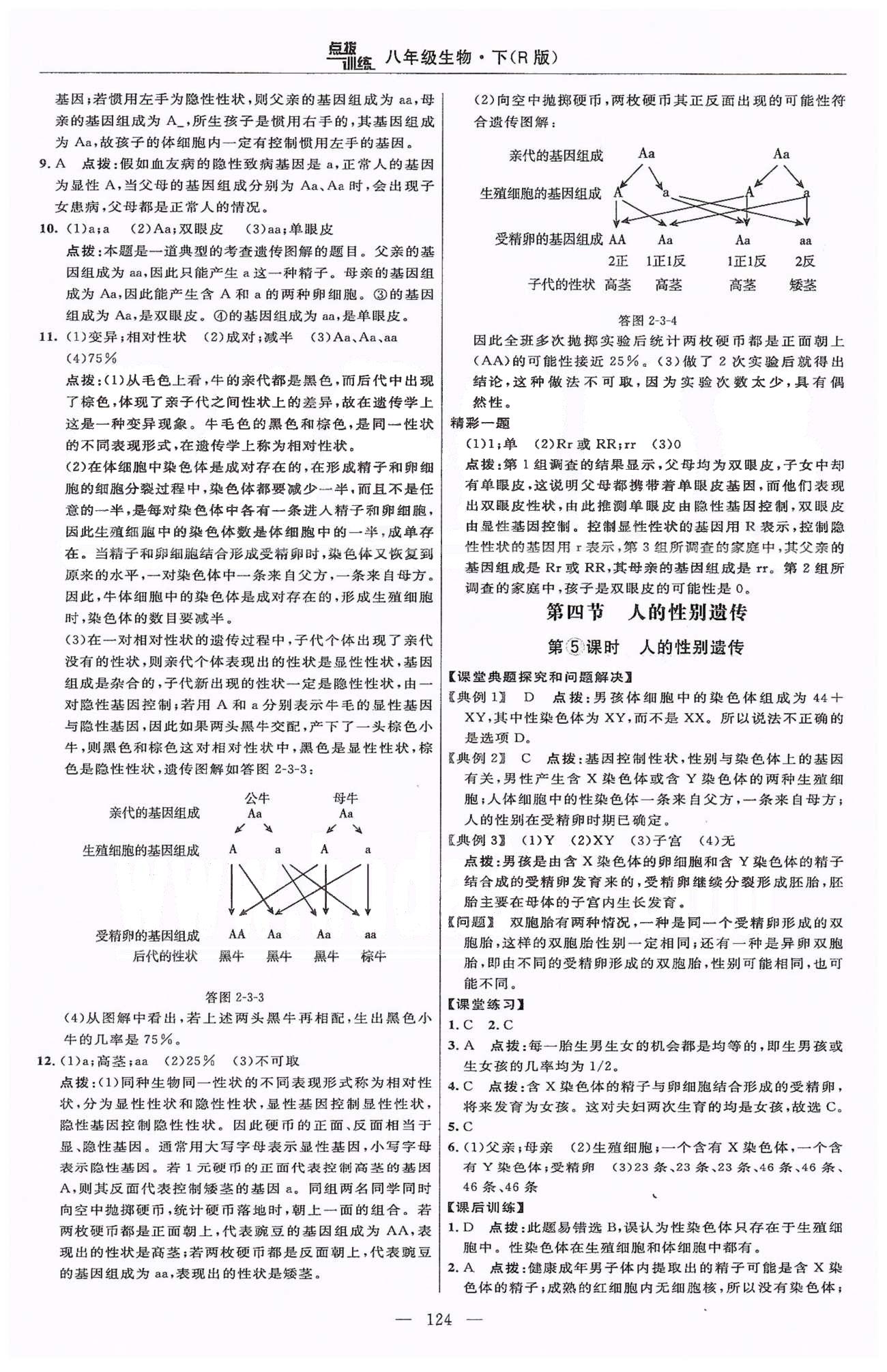 2015年點撥訓(xùn)練八年級生物下冊人教版 第七單元 生物圈中生命的延續(xù)和發(fā)展 [8]