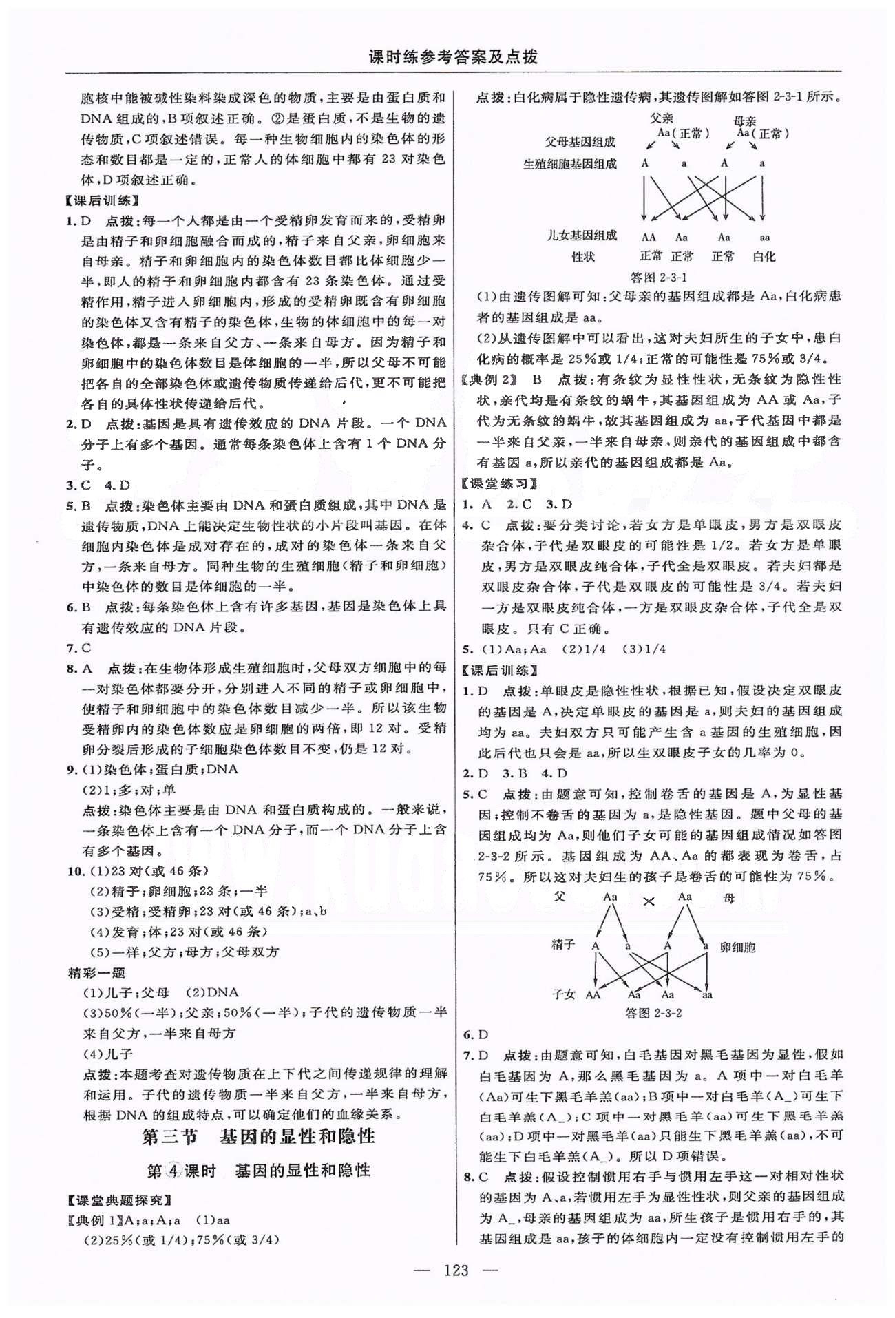 2015年點(diǎn)撥訓(xùn)練八年級(jí)生物下冊(cè)人教版 第七單元 生物圈中生命的延續(xù)和發(fā)展 [7]