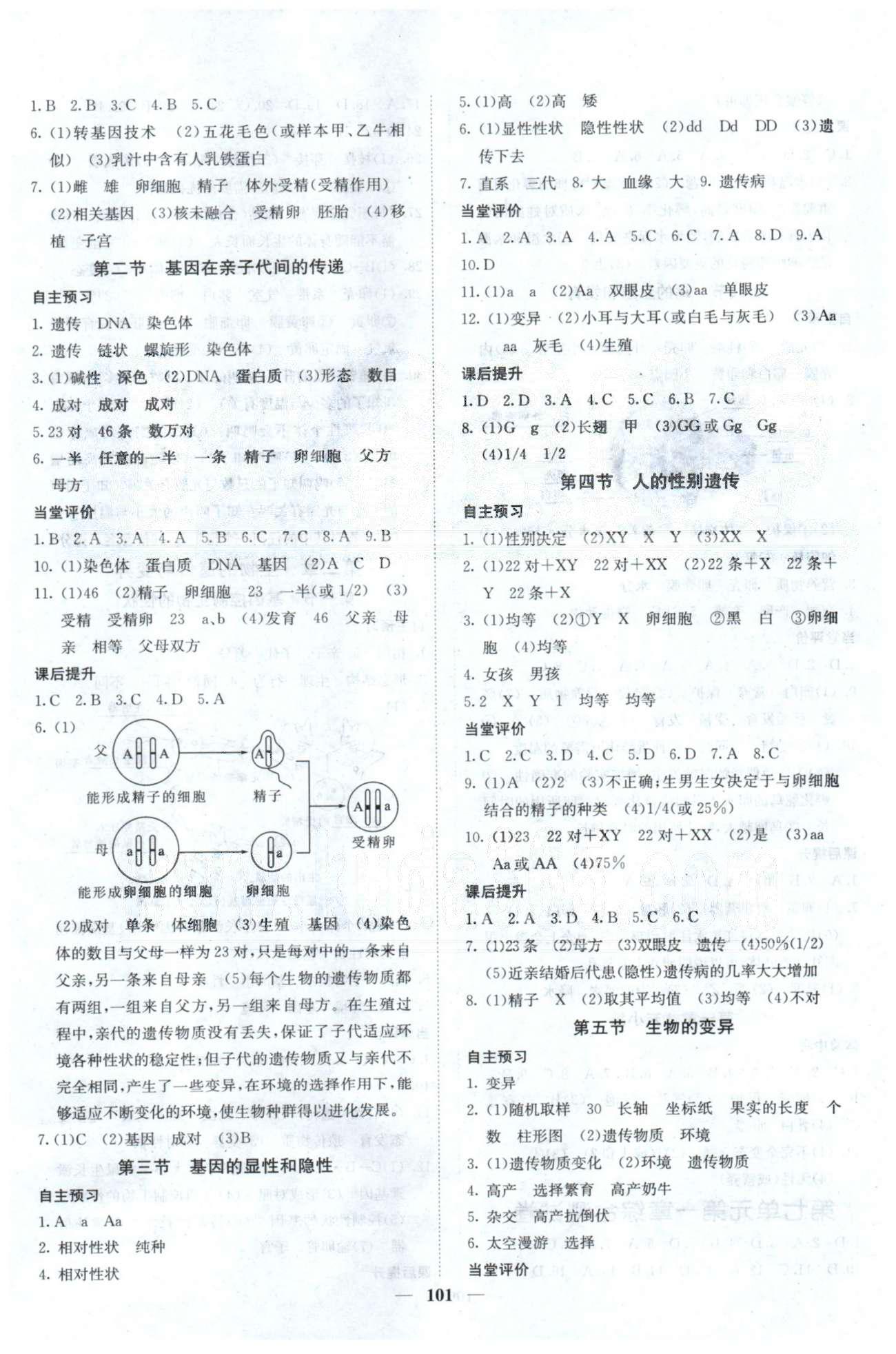 課堂點(diǎn)睛八年級下生物希望出版社 第7單元、期中測試 [3]