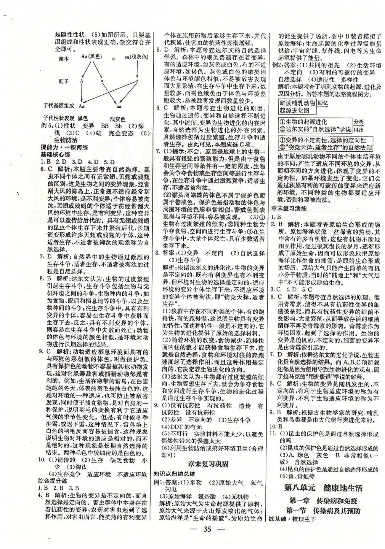 名校學案高效課時通八年級生物下冊人教版 第七單元 生物圈中生命的延續(xù)和發(fā)展 [11]