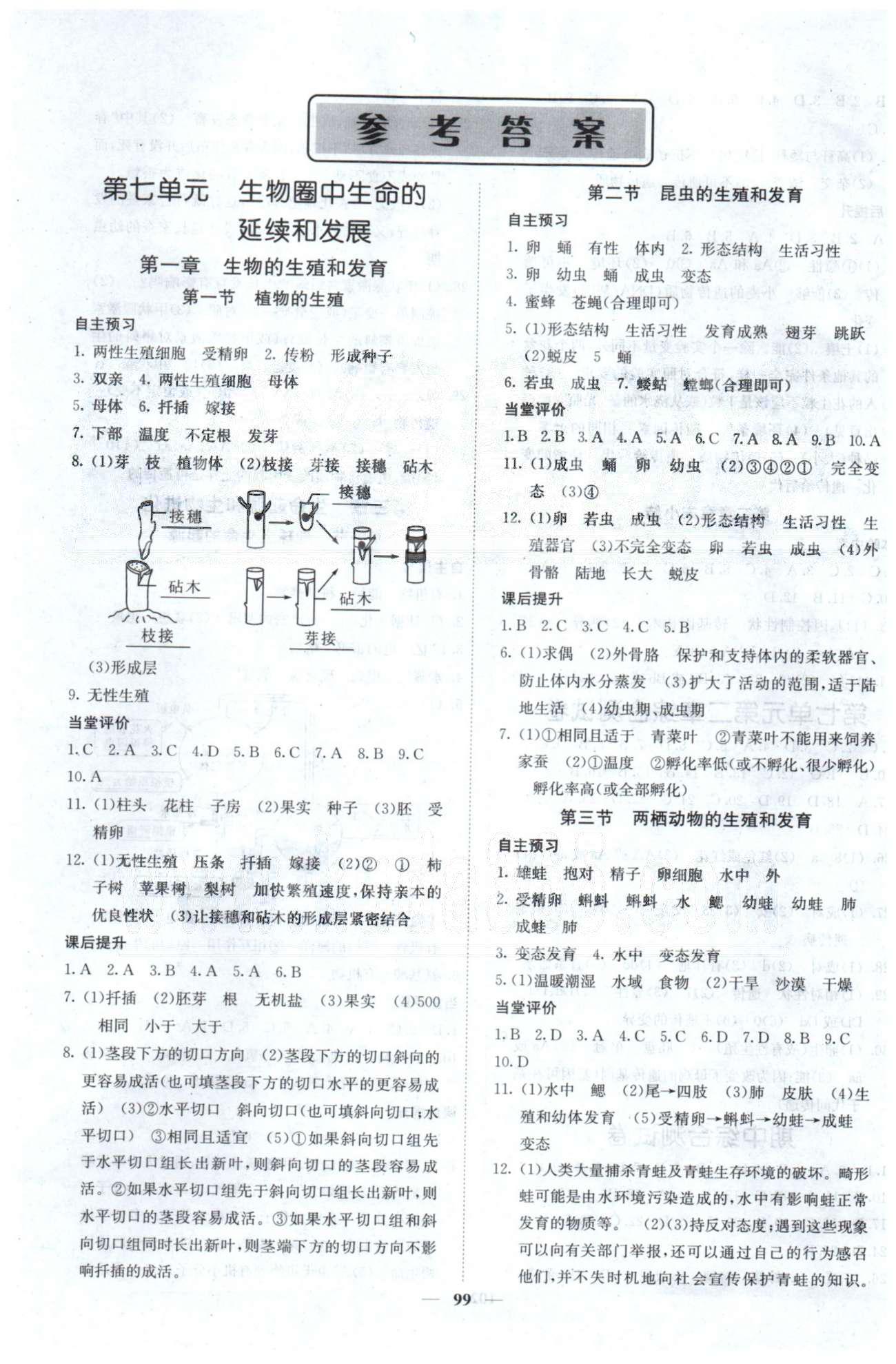 課堂點睛八年級下生物希望出版社 第7單元、期中測試 [1]