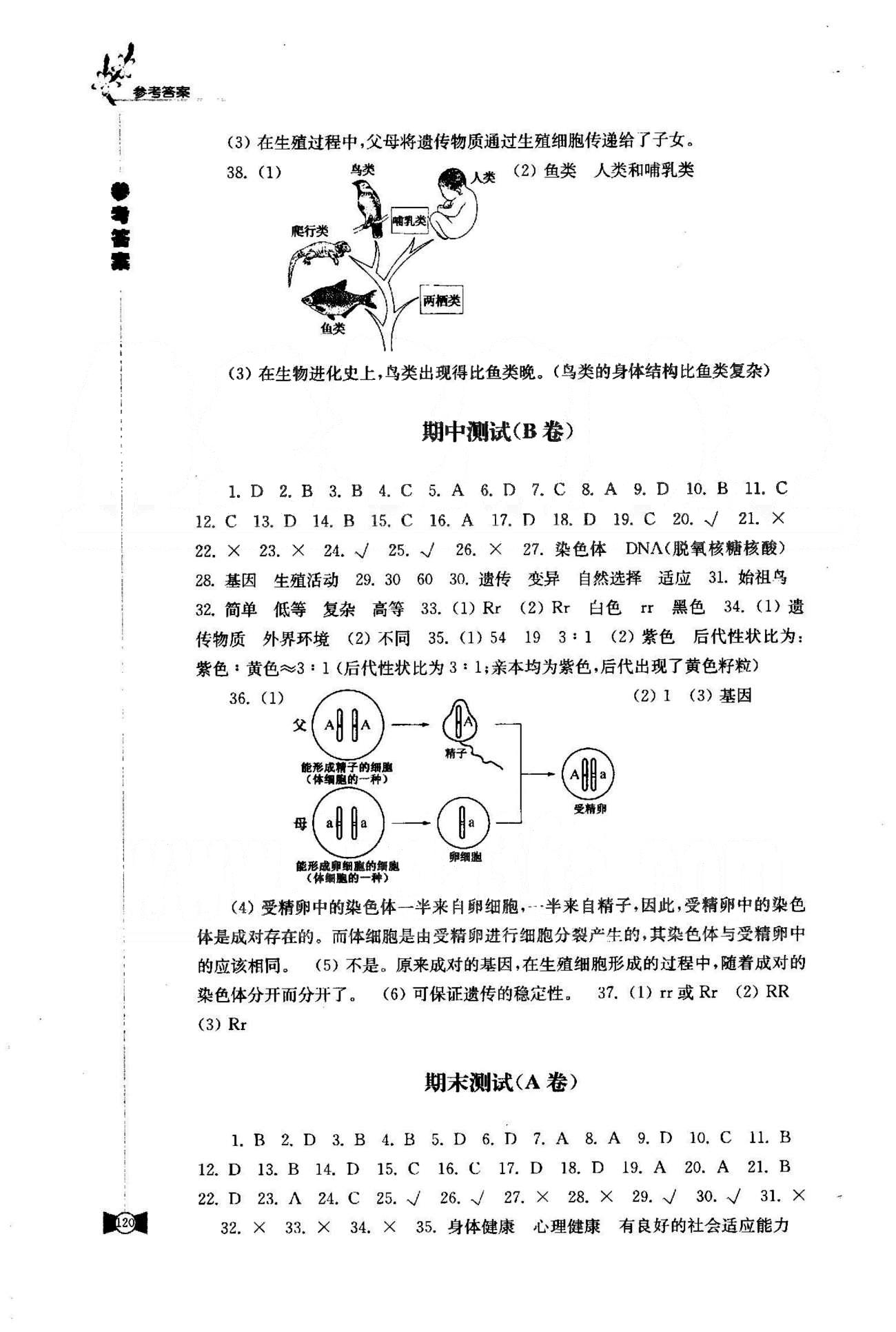 学习与评价 苏教版八年级下生物江苏凤凰教育出版社 期中、期末测试A-B [2]