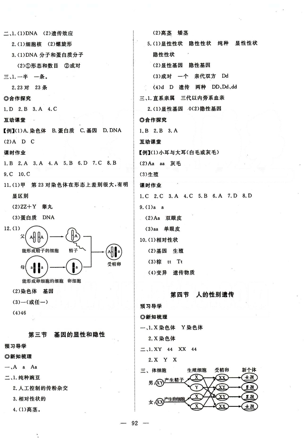 351高效課堂導學案八年級下生物湖北科學技術出版社 第七單元 生物圈中生命的延續(xù)和發(fā)展 [4]