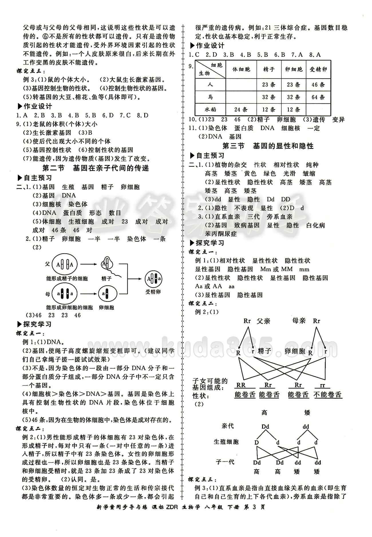 2015 新學(xué)案同步導(dǎo)與練八年級下生物鄭州大學(xué)出版社 參考答案 [3]