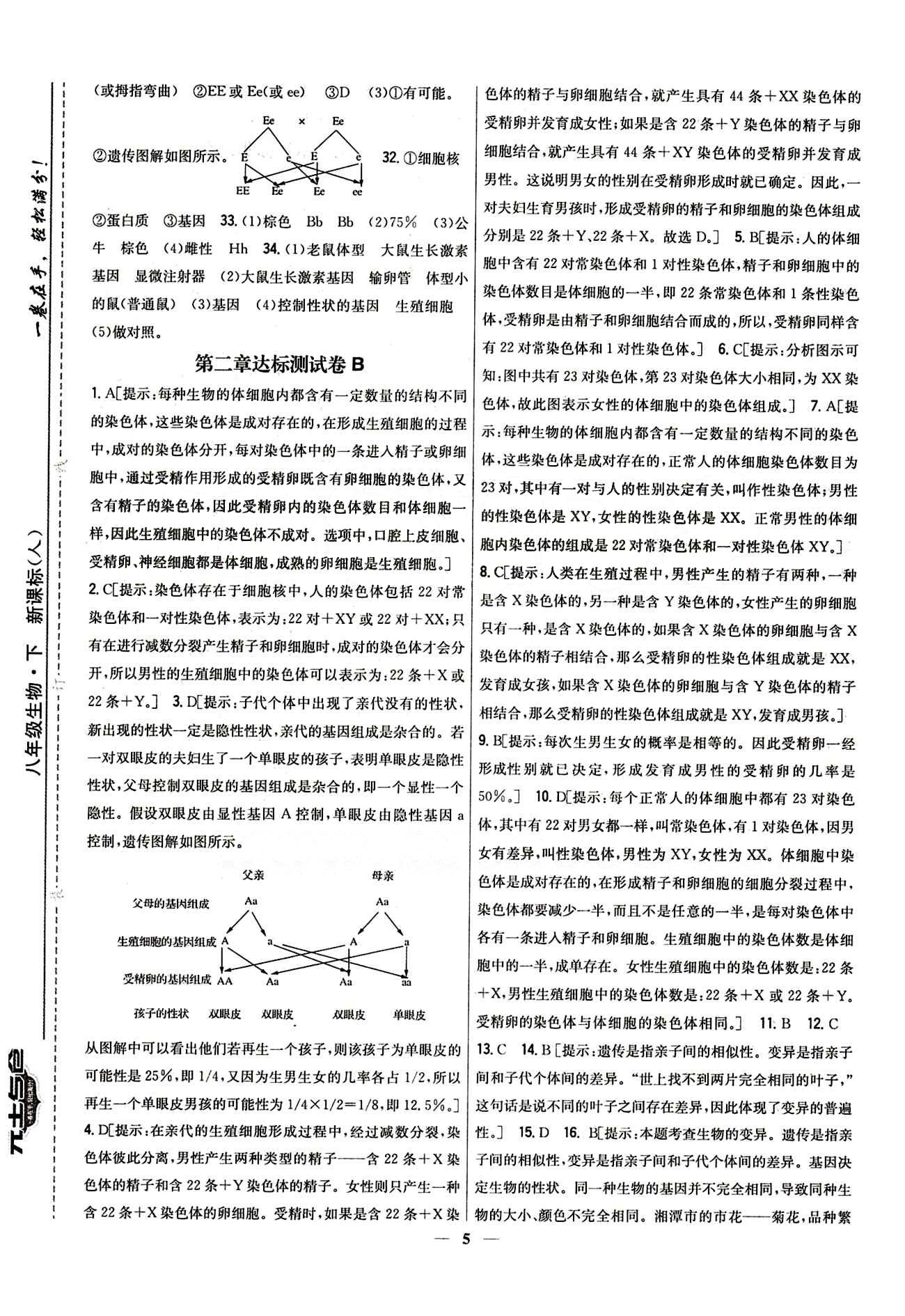 新教材完全考卷 新課標(biāo)八年級下生物吉林人民出版社 第七單元 達(dá)標(biāo)測試卷 [5]