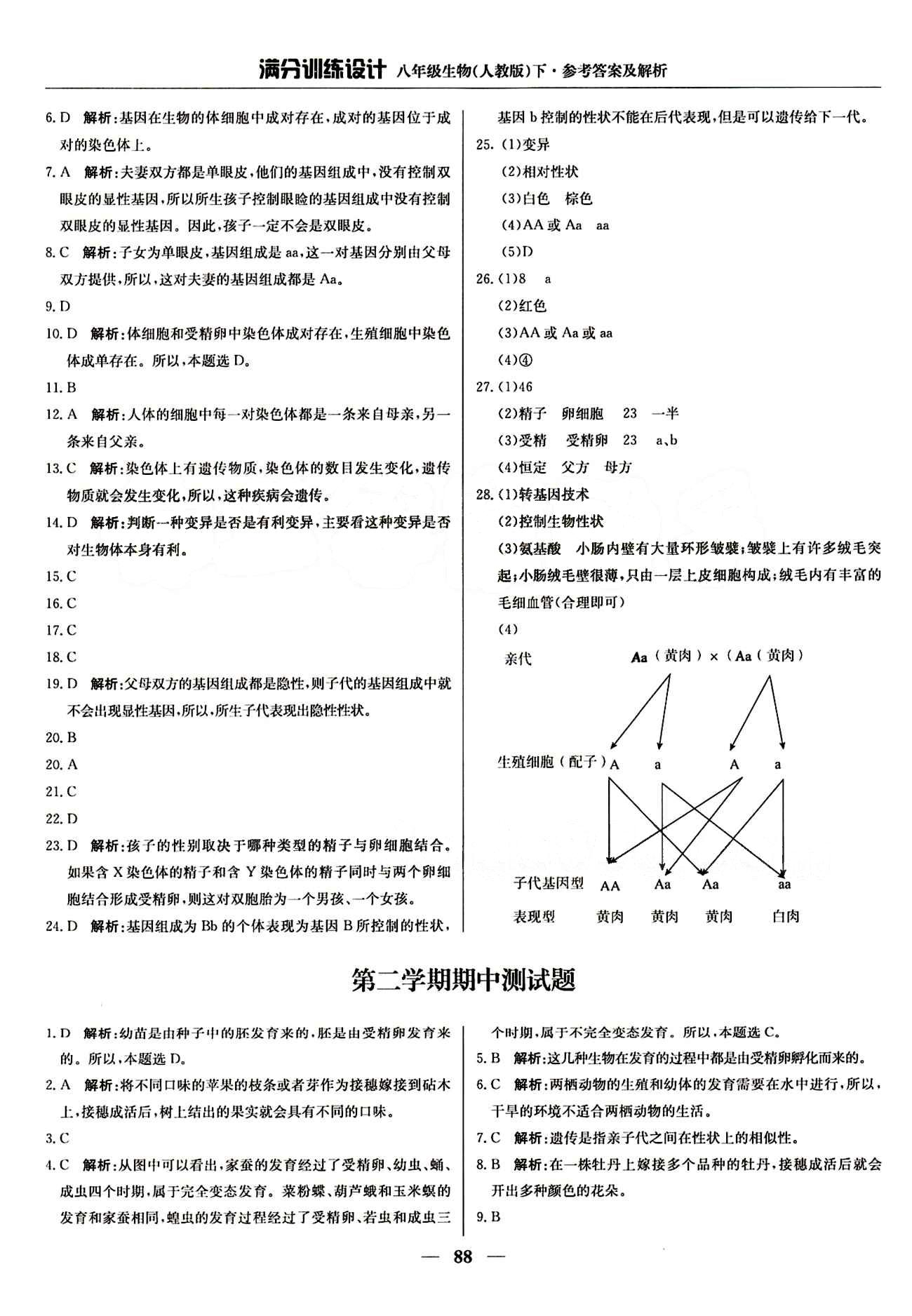 滿分訓(xùn)練設(shè)計(jì)八年級(jí)下生物北京教育出版社 第七單元 生物圈中生命的延續(xù)和發(fā)展 [9]