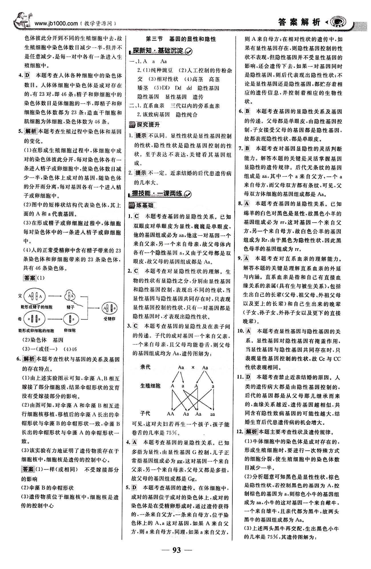 2015最版 世紀(jì)金榜 金榜學(xué)案八年級下生物浙江科學(xué)技術(shù)出版社 課堂導(dǎo)學(xué)案 第七單元 生物圈中生命的延續(xù)和發(fā)展 [8]