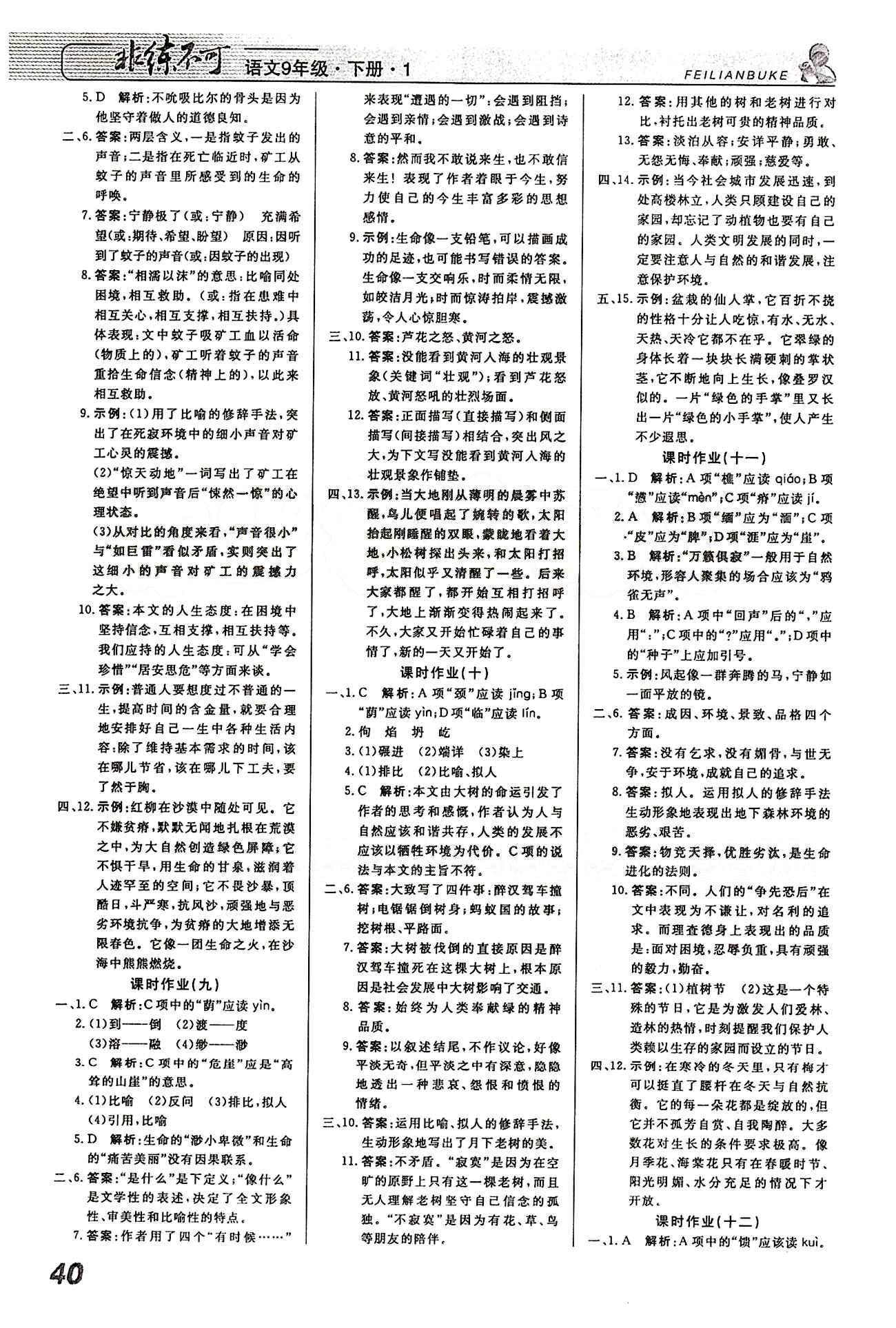 2015 課堂導(dǎo)學(xué) 課時作業(yè) 非練不可九年級下語文寧波出版社 課時作業(yè) [4]