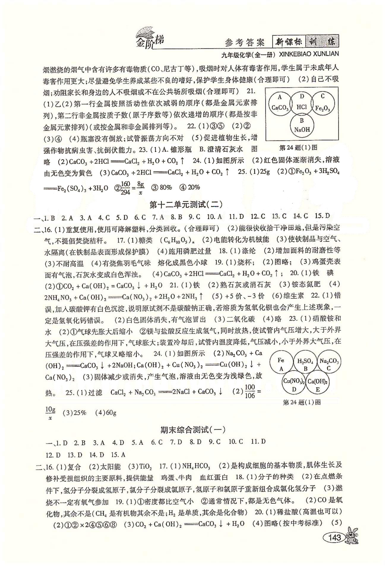 金阶梯课课练单元测九年级下化学吉林大学出版社&nbsp;测试 [6]