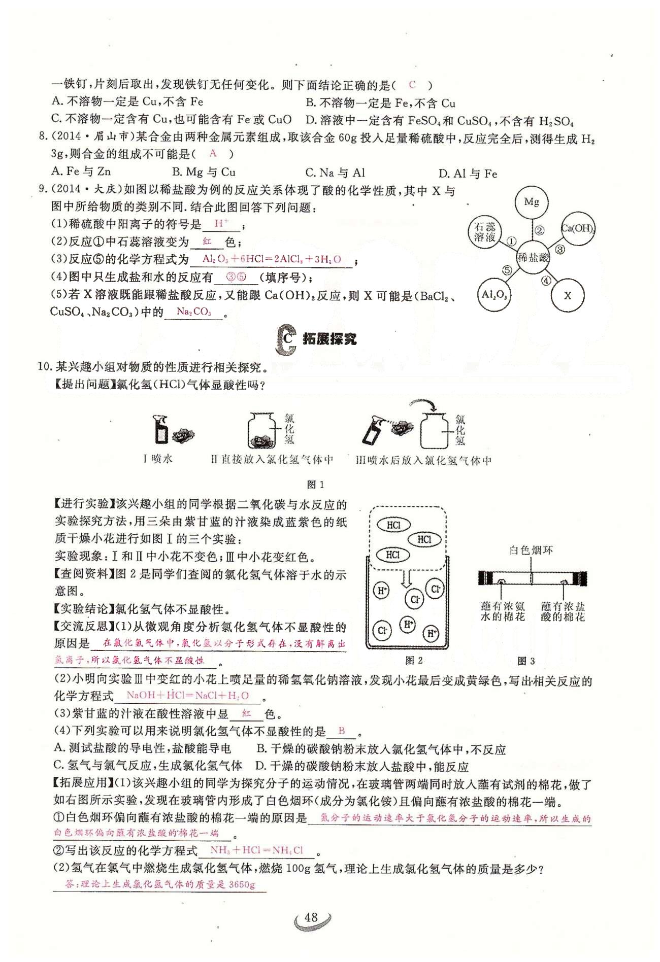 2015思維新觀察課時精練九年級下化學(xué)長江少年兒童出版社 第十單元　酸和堿 [4]