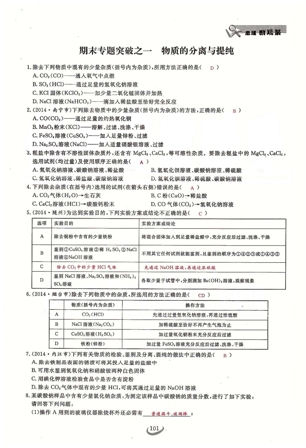 2015思维新观察课时精练九年级下化学长江少年儿童出版社 期末专题突破 [1]