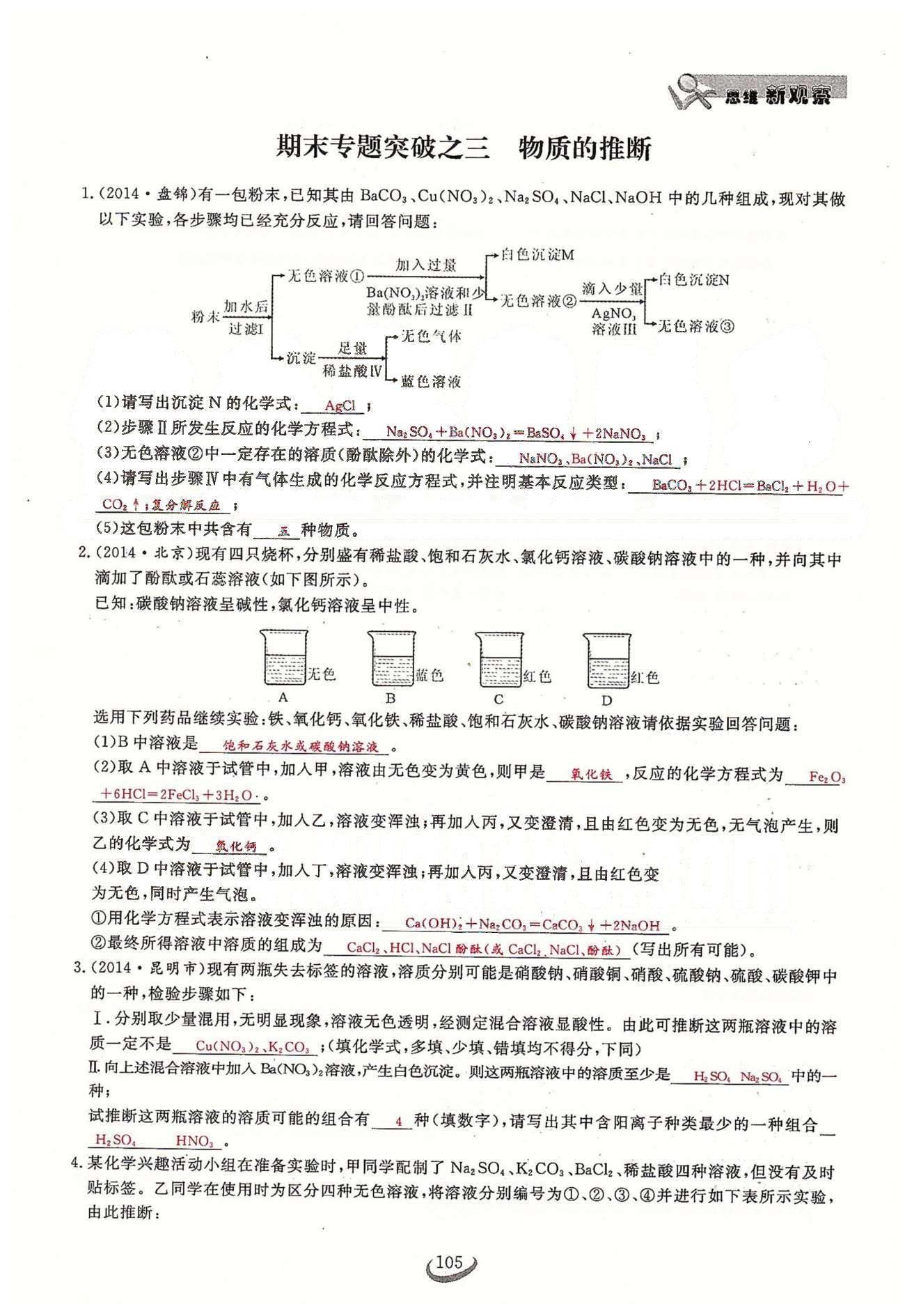 2015思维新观察课时精练九年级下化学长江少年儿童出版社 期末专题突破 [5]