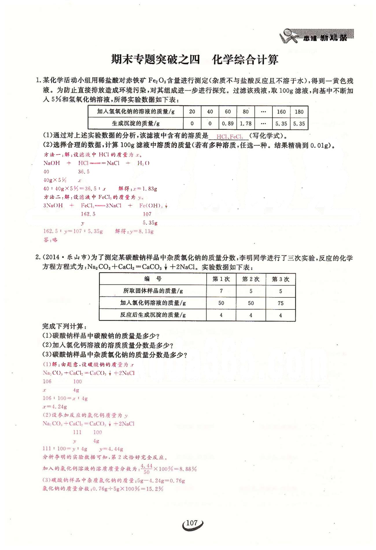 2015思維新觀察課時精練九年級下化學(xué)長江少年兒童出版社 期末專題突破 [7]