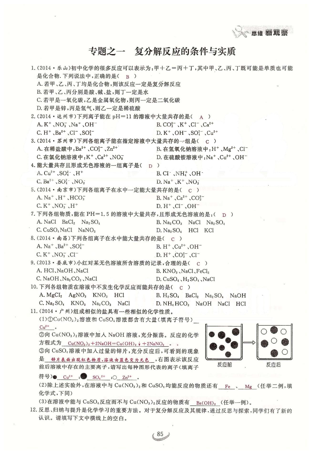 2015思维新观察课时精练九年级下化学长江少年儿童出版社 第十一单元　盐　化肥 [13]