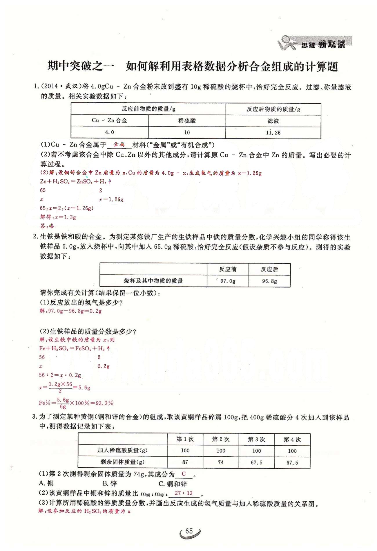 2015思維新觀察課時(shí)精練九年級(jí)下化學(xué)長江少年兒童出版社 期中專題突破 [1]