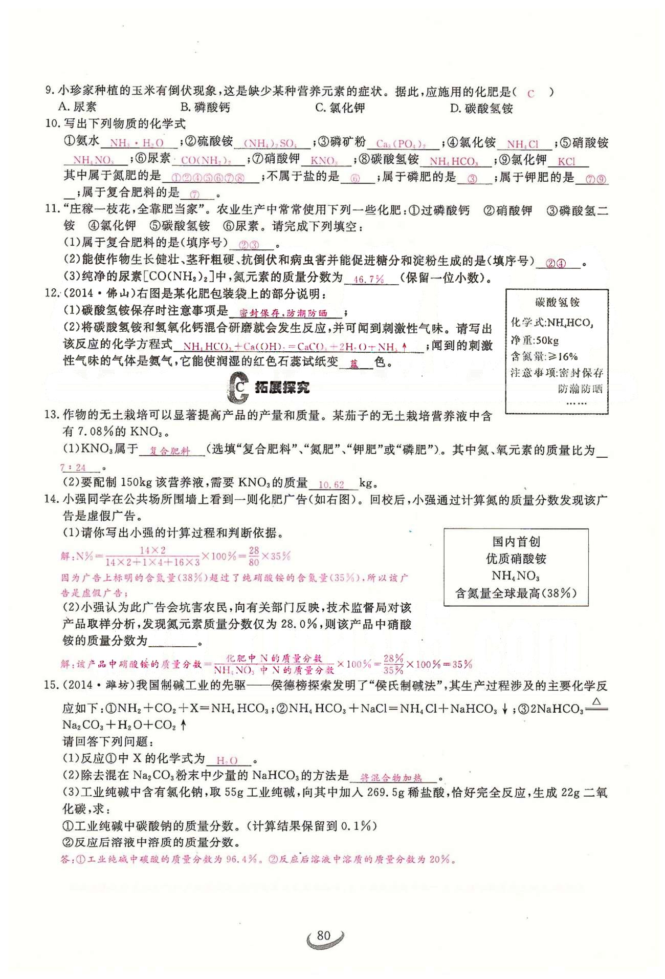 2015思維新觀察課時精練九年級下化學(xué)長江少年兒童出版社 第十一單元　鹽　化肥 [8]