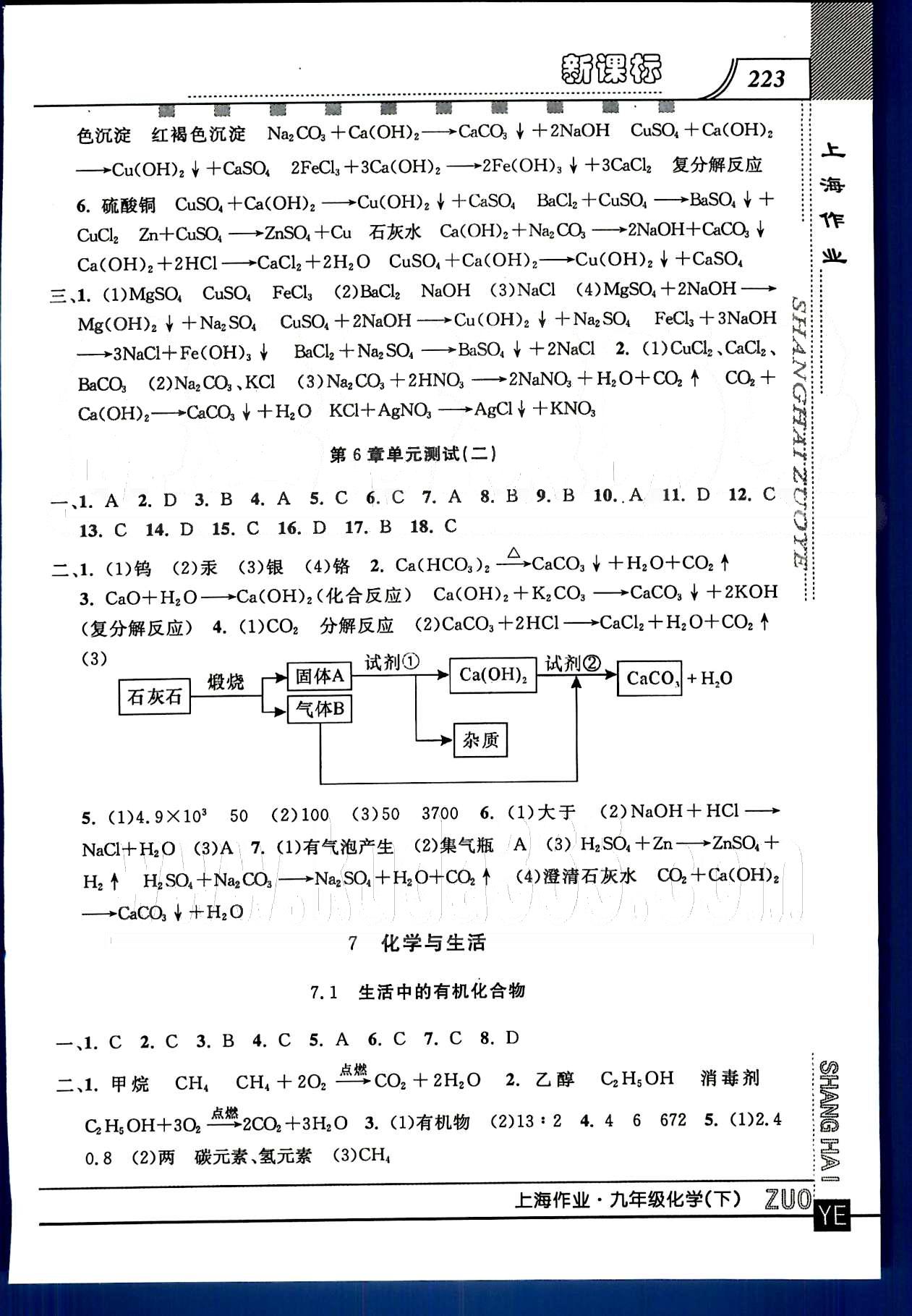 20145 鐘書金牌 上海作業(yè)九年級下化學上海大學出版社 第六章 [6]