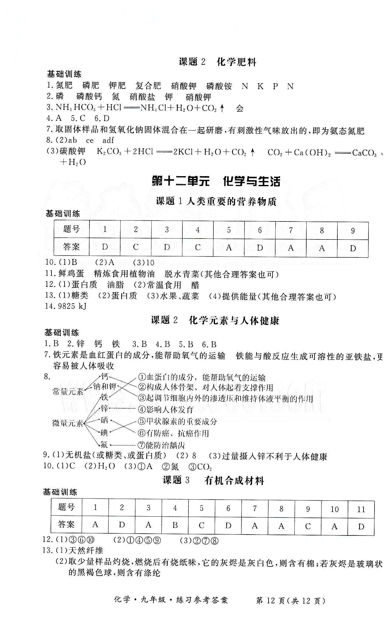 形成性練習與檢測九年級下化學東方出版社 第一單元-第十二單元 [12]