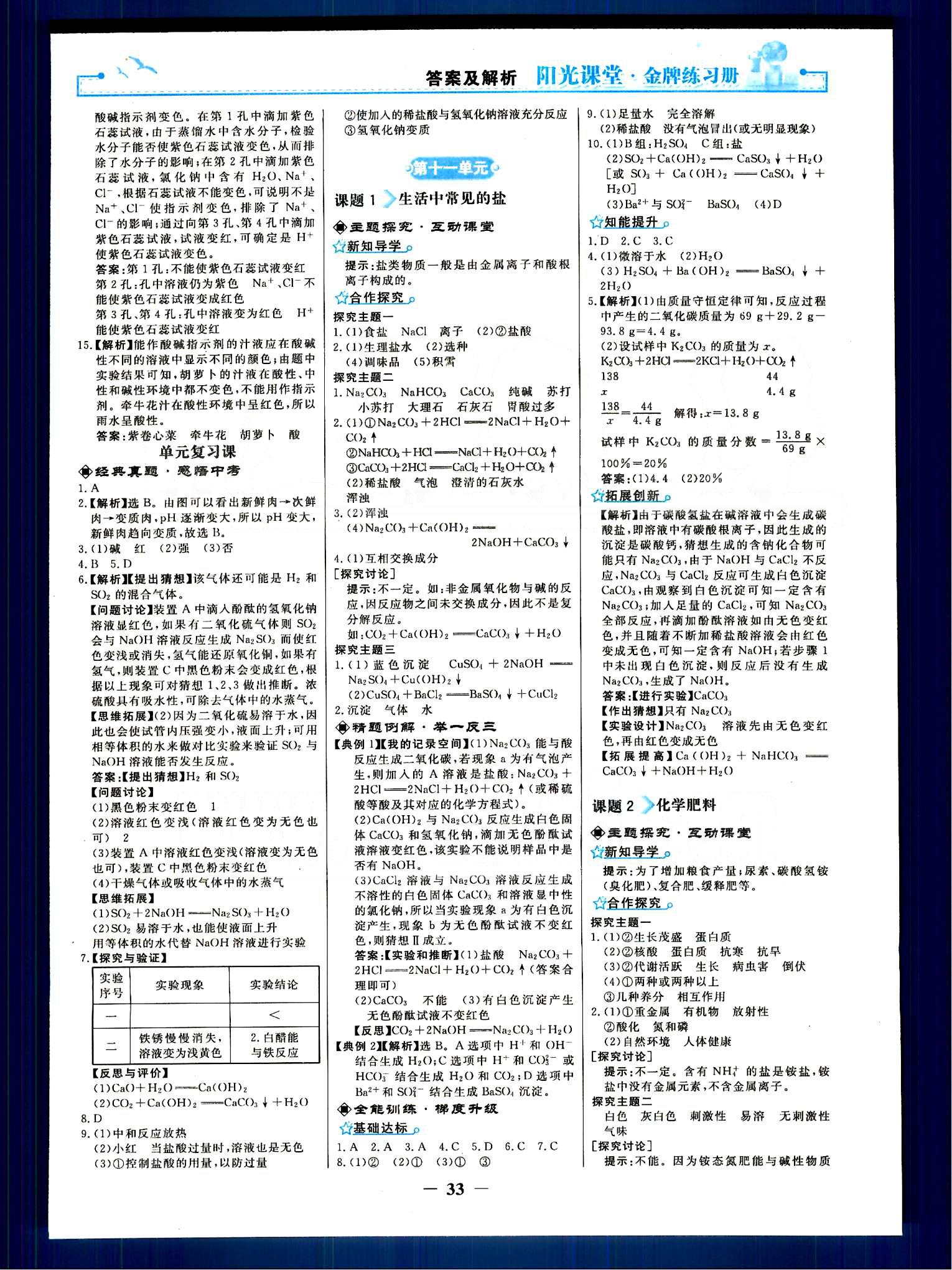 陽光課堂 金牌練習(xí)冊九年級下化學(xué)人民教育出版社 第八單元-第十二單元 [9]