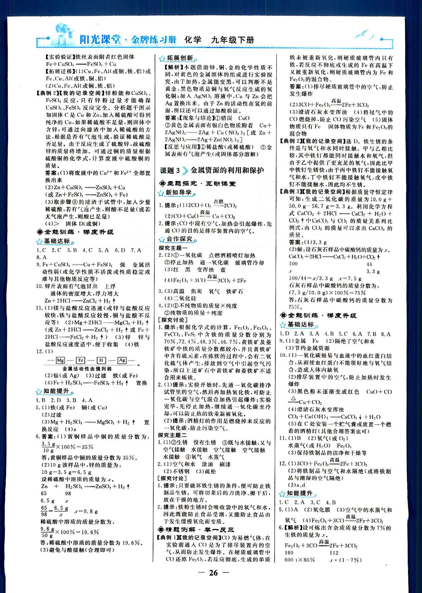 陽光課堂 金牌練習(xí)冊九年級下化學(xué)人民教育出版社 第八單元-第十二單元 [2]