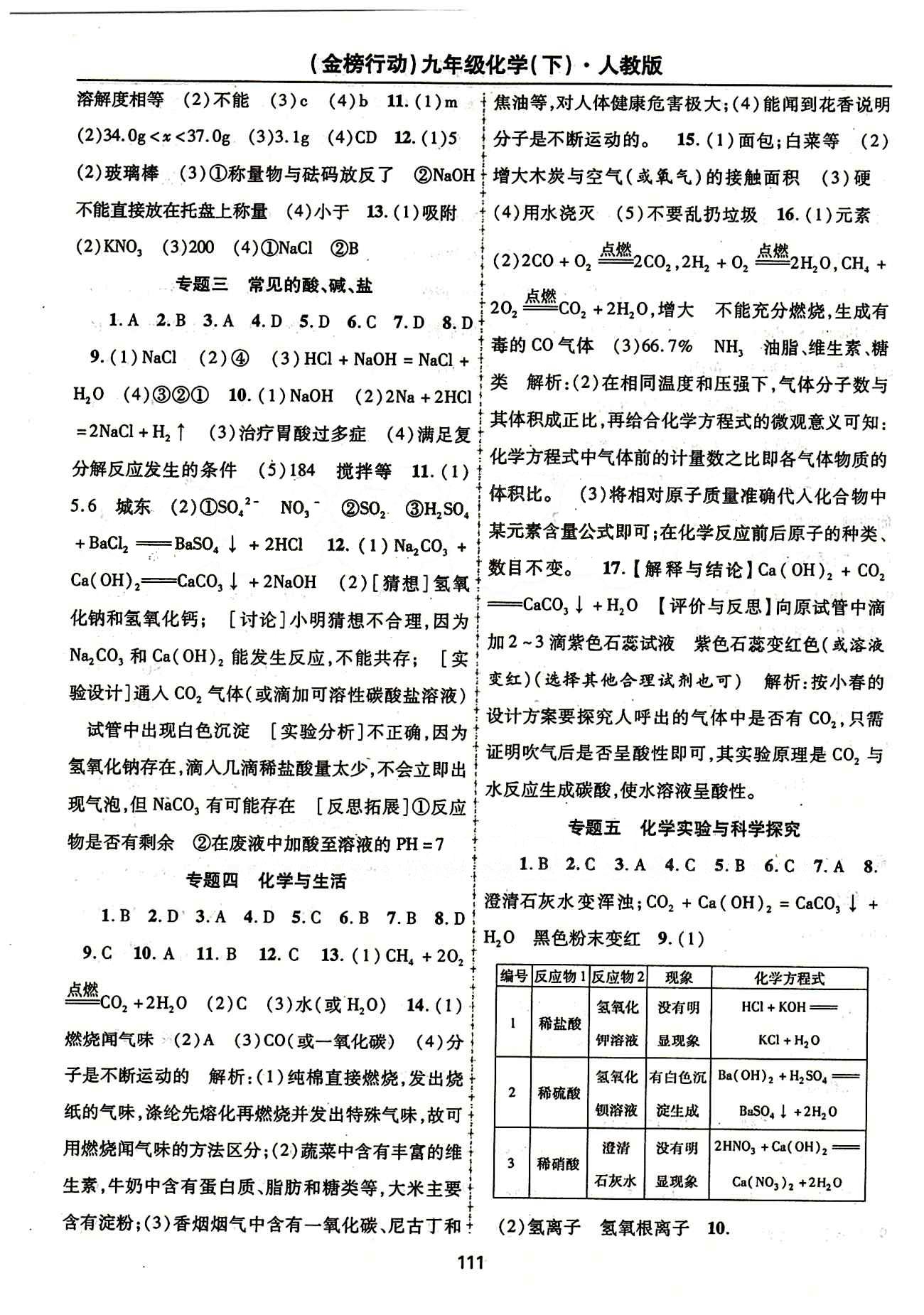 金榜行動(dòng)九年級(jí)下化學(xué)湖北科學(xué)技術(shù)出版社 專題 測(cè)試題答案 [2]