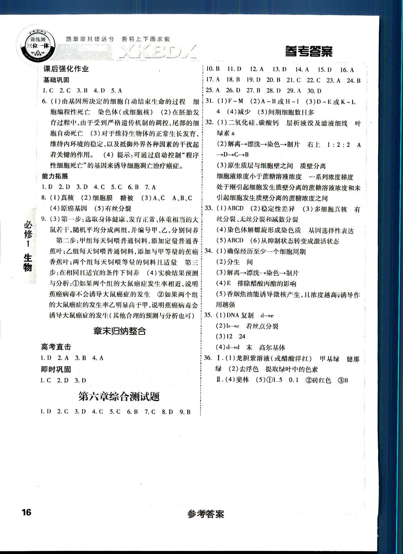 成才之路-高中新課程學(xué)習(xí)指導(dǎo)生物中國(guó)和平出版社必修1 第四章-第六章 [8]