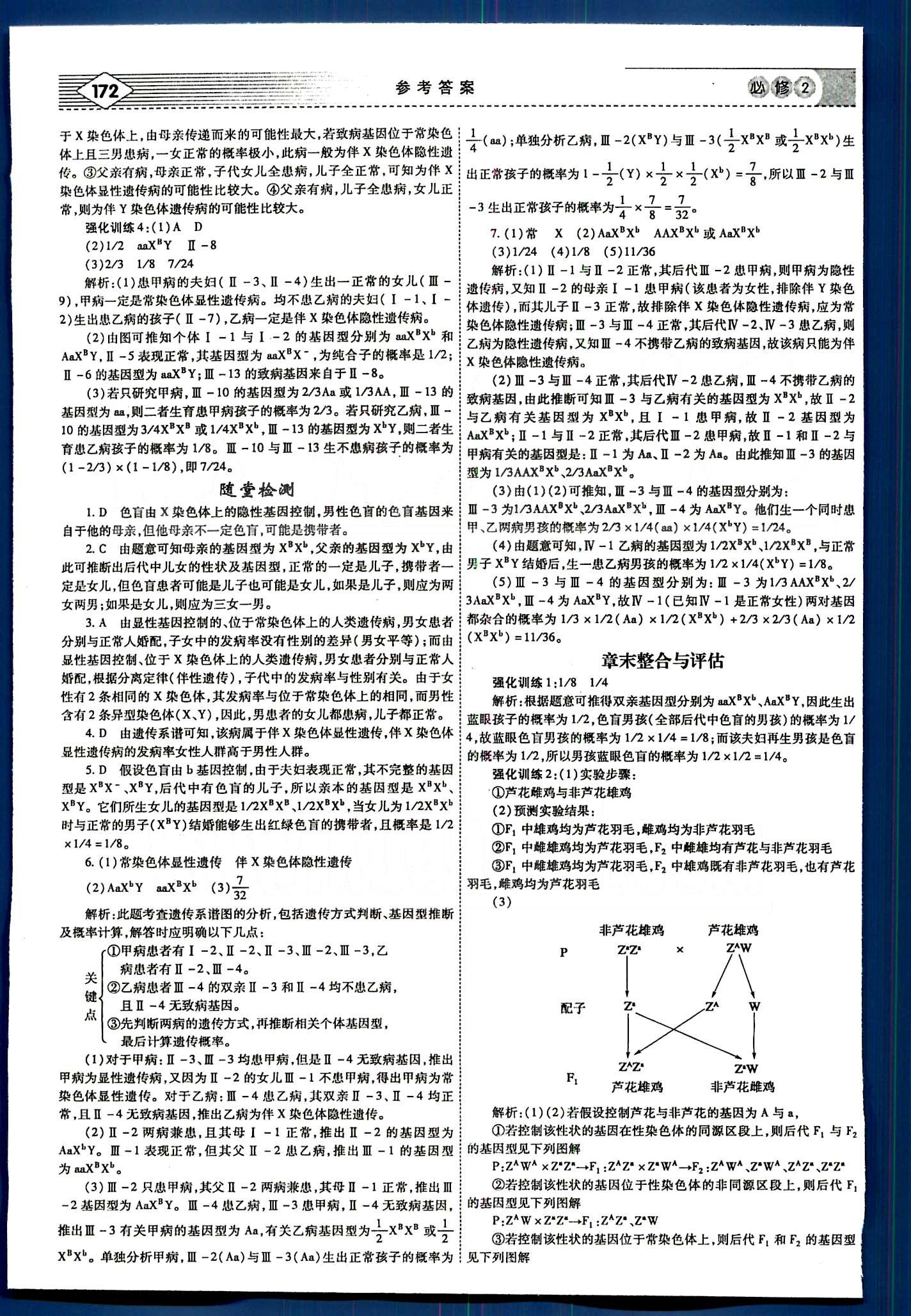 紅對(duì)勾-講與練生物內(nèi)蒙古大學(xué)出版社必修2 講義手冊(cè) [6]