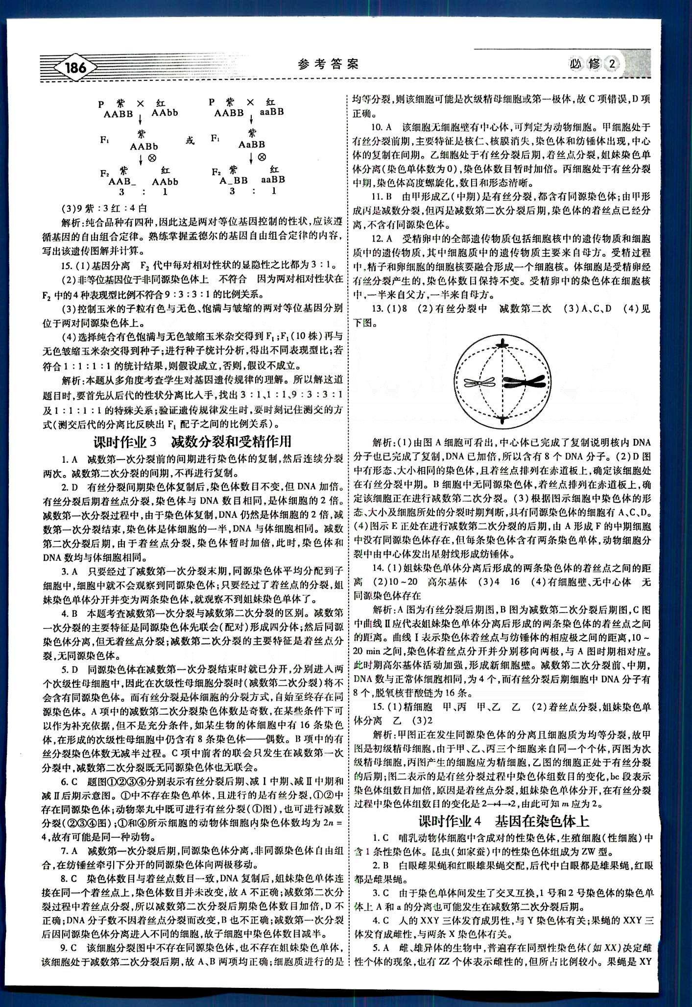 紅對勾-講與練生物內(nèi)蒙古大學出版社必修2 練習手冊 [3]