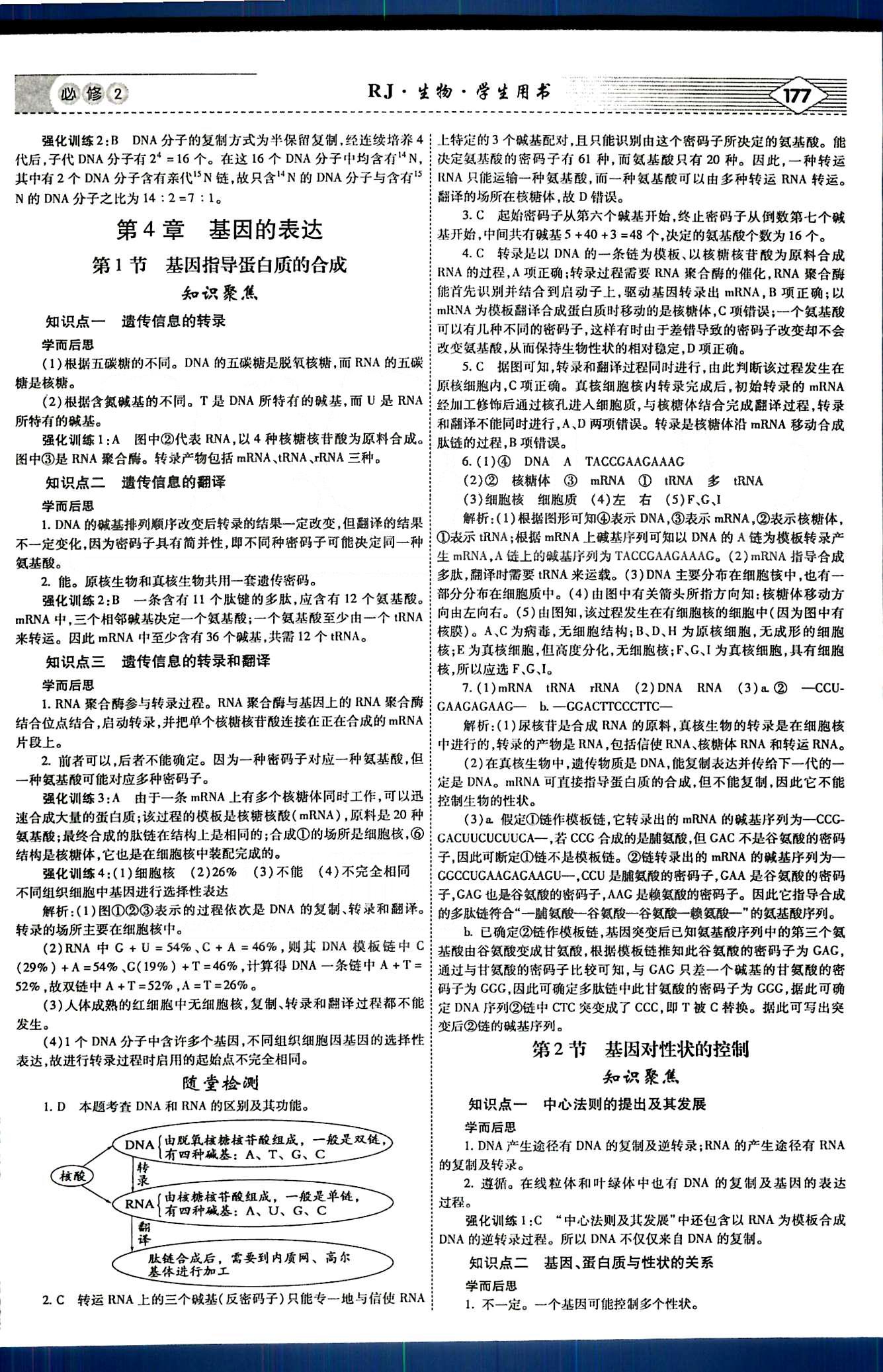 紅對(duì)勾-講與練生物內(nèi)蒙古大學(xué)出版社必修2 講義手冊(cè) [11]