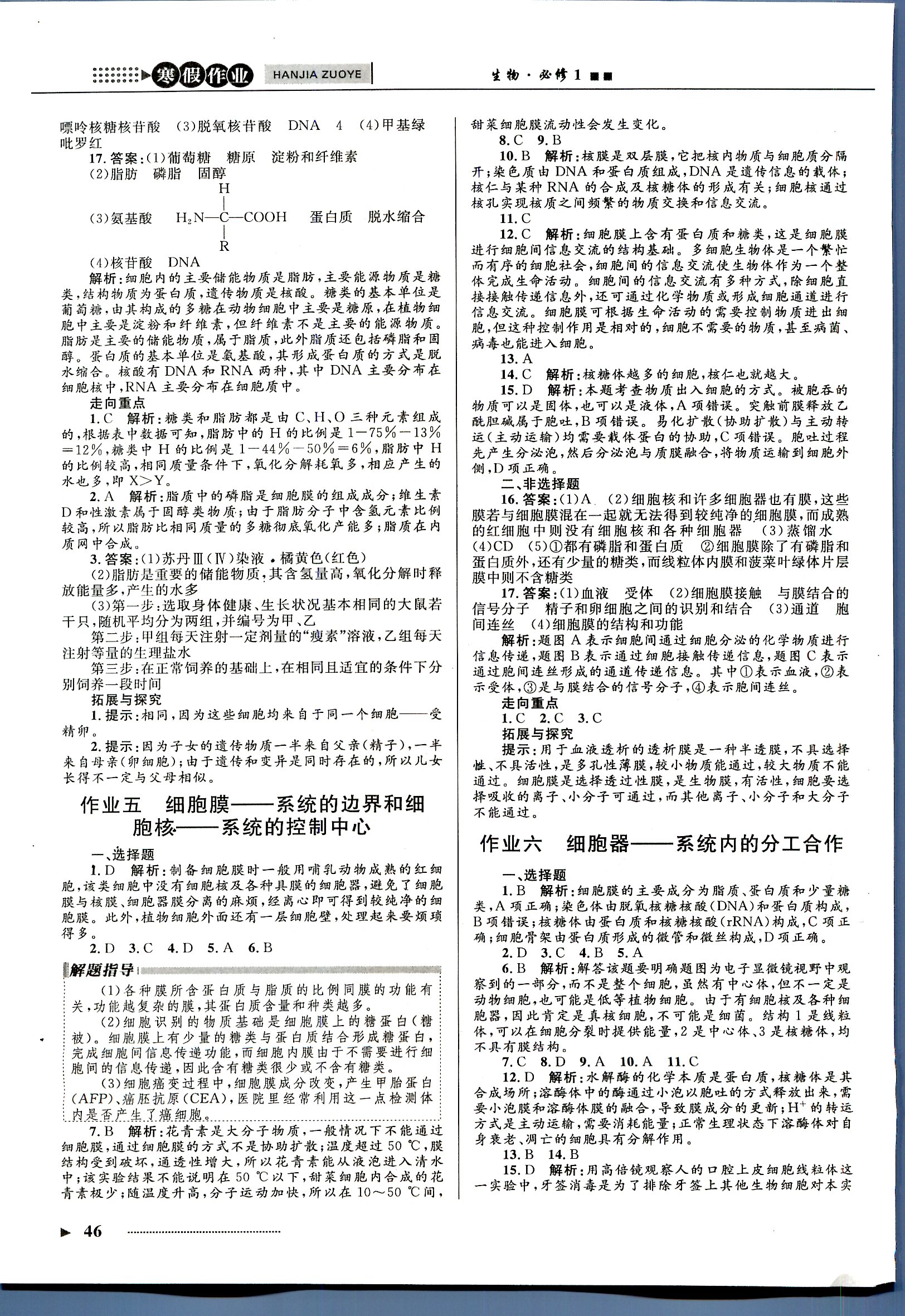 志鸿优化系列寒假作业 生物 高一 新课标河北少年儿童出版社1 第1部分 [4]