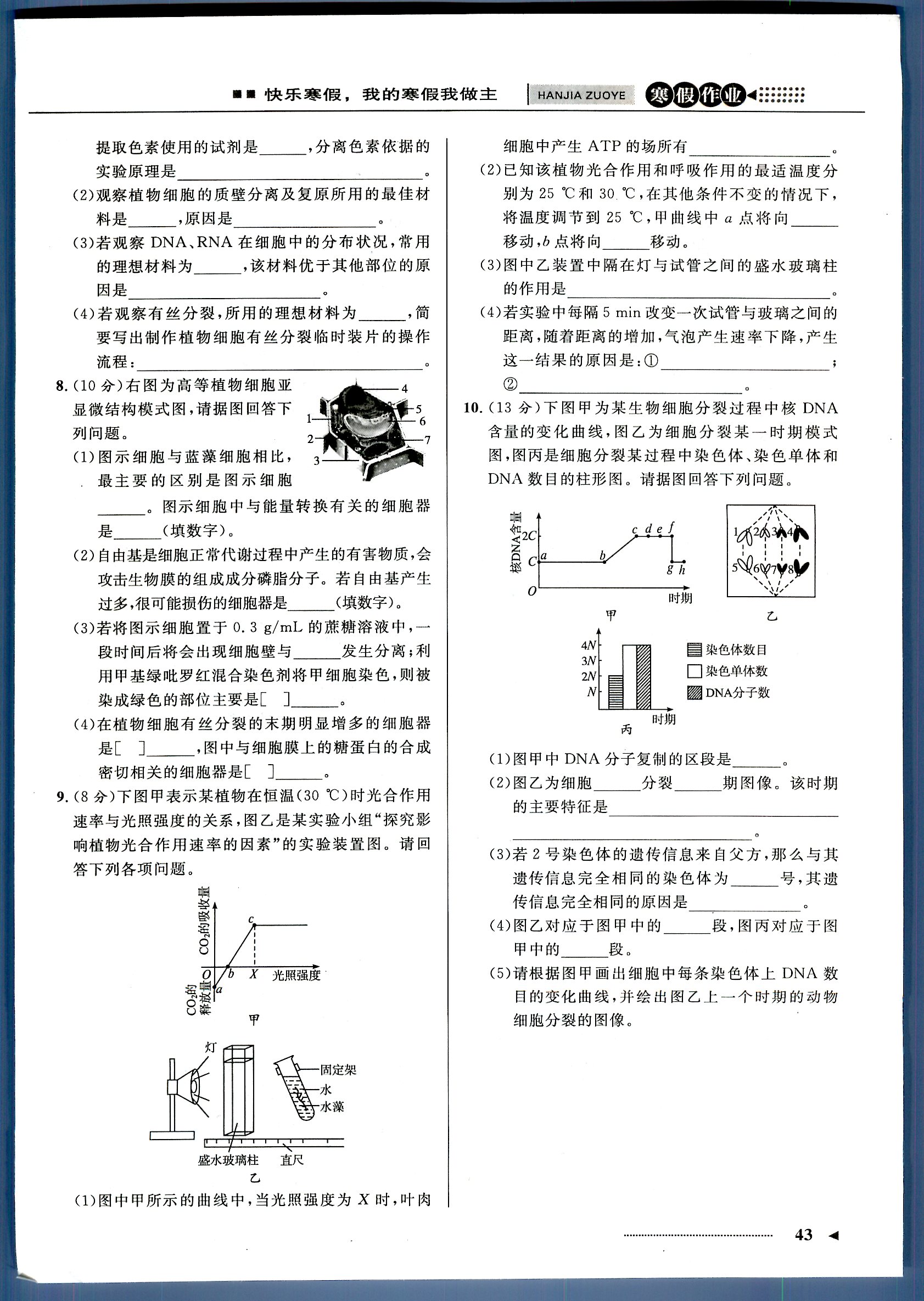 志鸿优化系列寒假作业 生物 高一 新课标河北少年儿童出版社1 第1部分 [1]