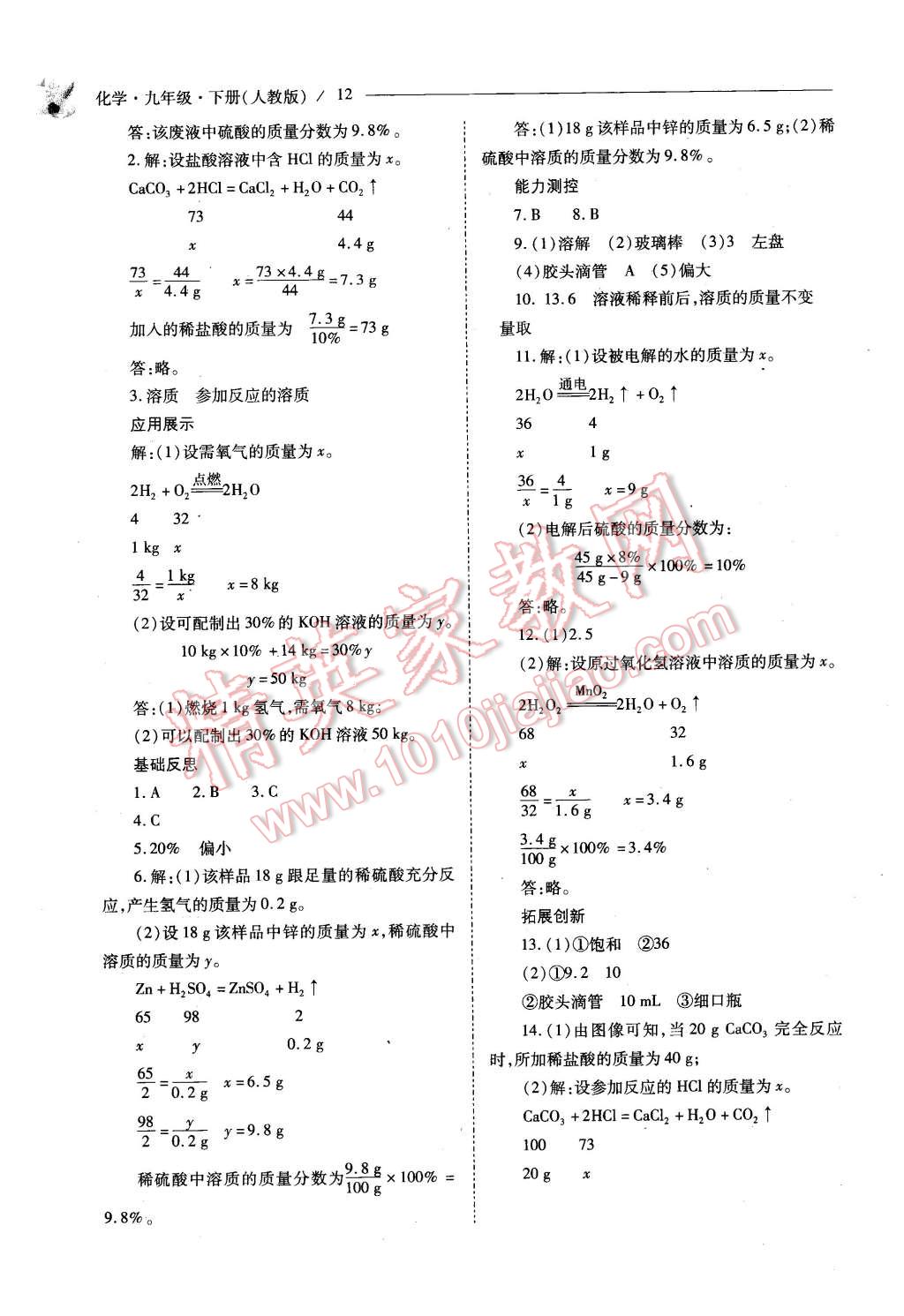 2016年新課程問題解決導(dǎo)學(xué)方案九年級化學(xué)下冊人教版 第12頁