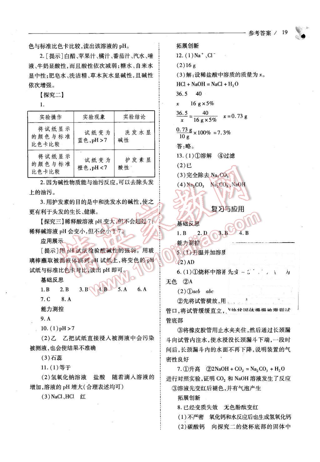 2016年新课程问题解决导学方案九年级化学下册人教版 第19页