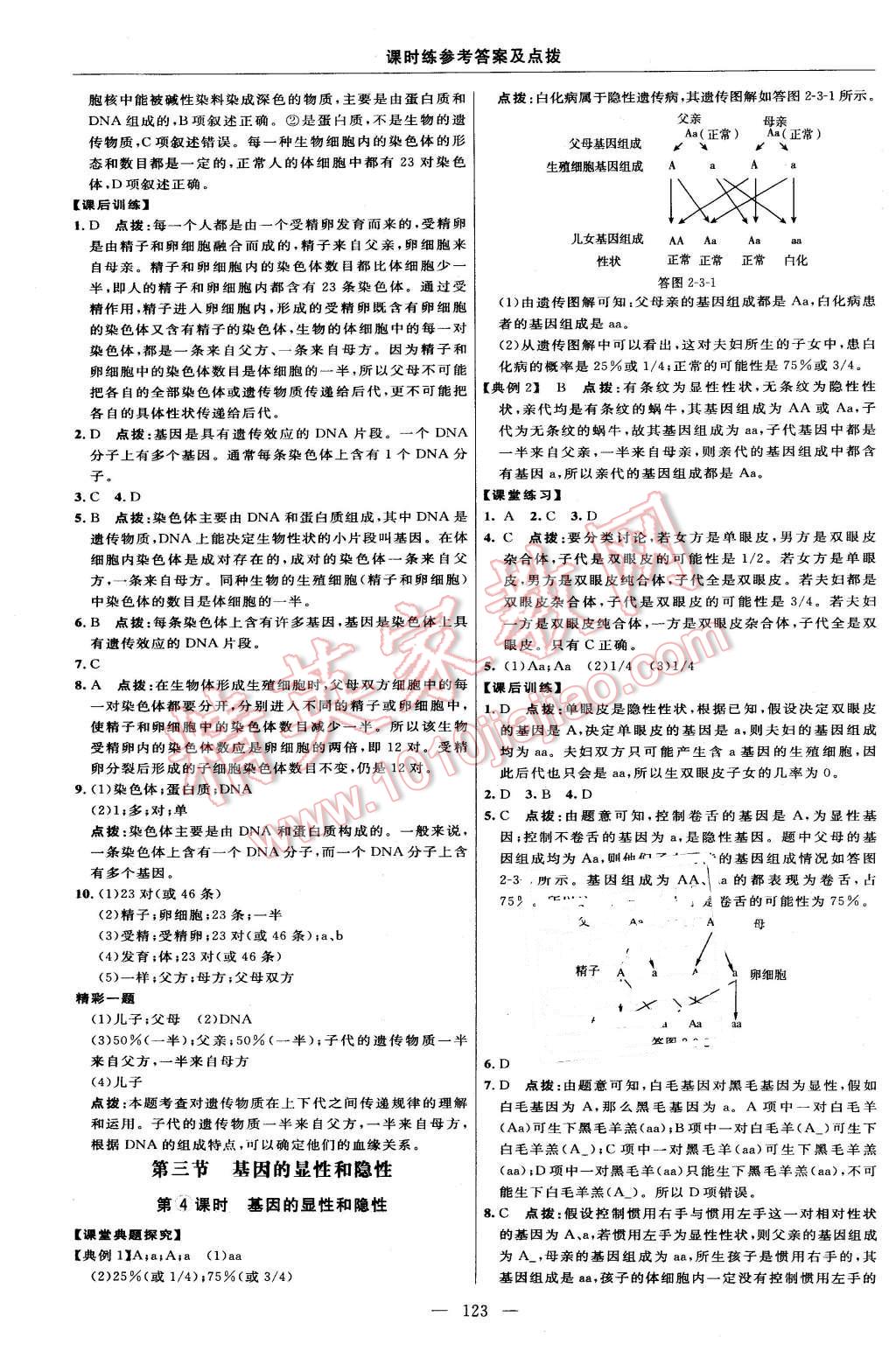 2016年點(diǎn)撥訓(xùn)練八年級(jí)生物下冊(cè)人教版 第13頁