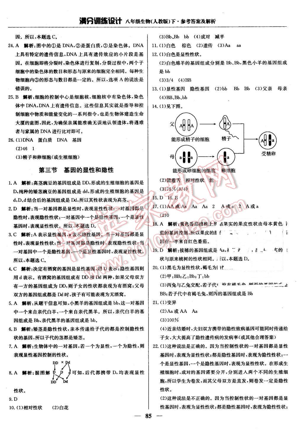 2016年滿分訓(xùn)練設(shè)計(jì)八年級(jí)生物下冊(cè)人教版 第6頁(yè)