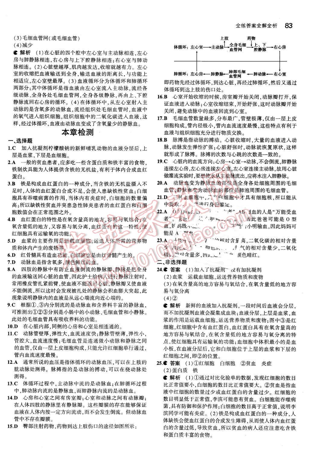 2016年5年中考3年模拟初中生物七年级下册北师大版 第6页