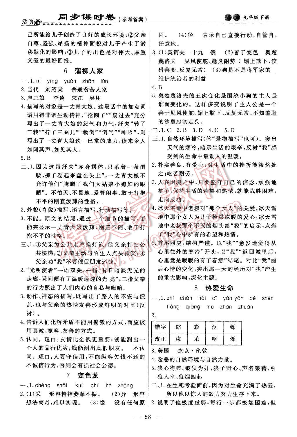 2016年初中知识与能力测试卷九年级语文下册 第4页