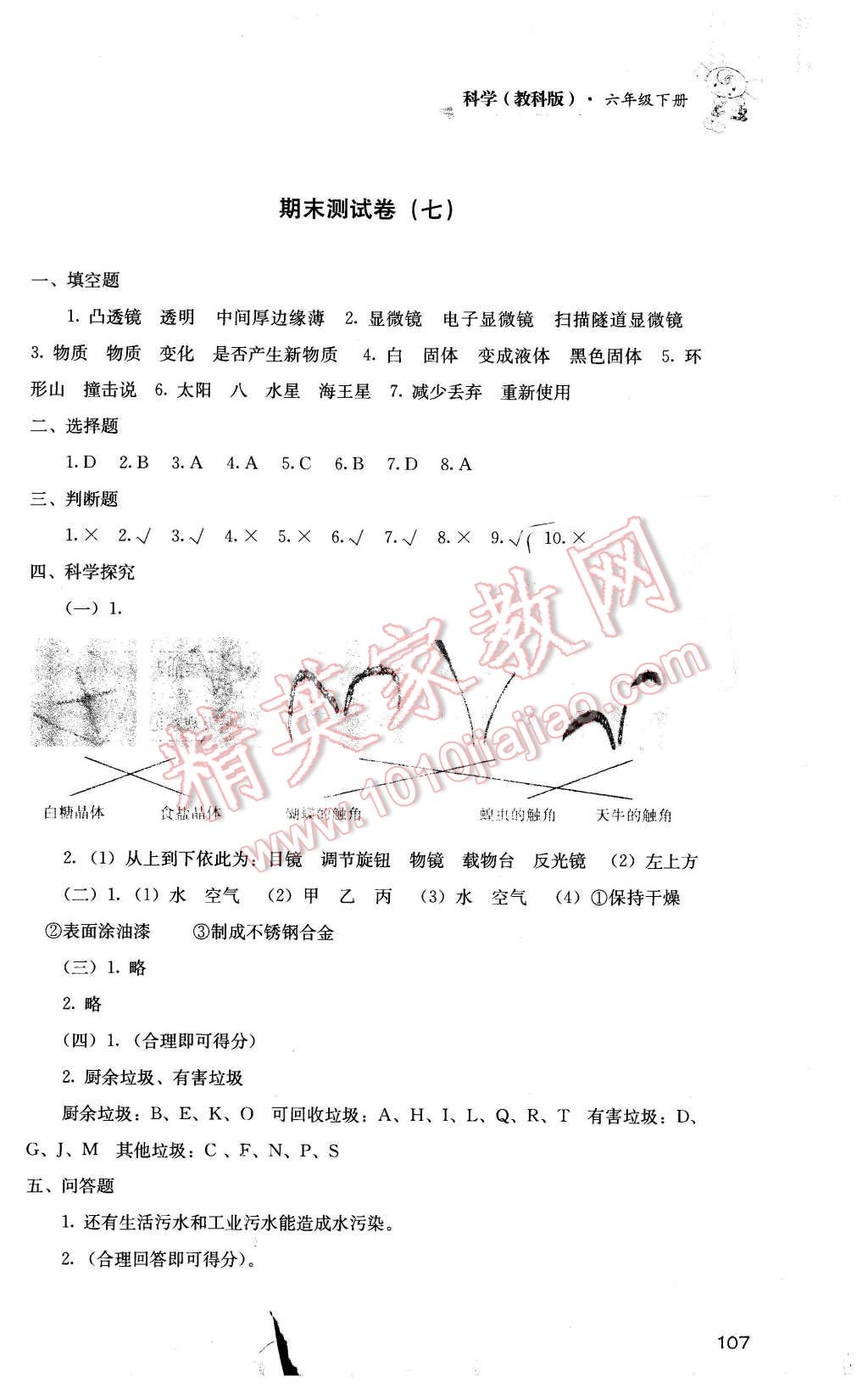 2016年課程基礎(chǔ)訓(xùn)練六年級科學(xué)下冊教科版 第7頁