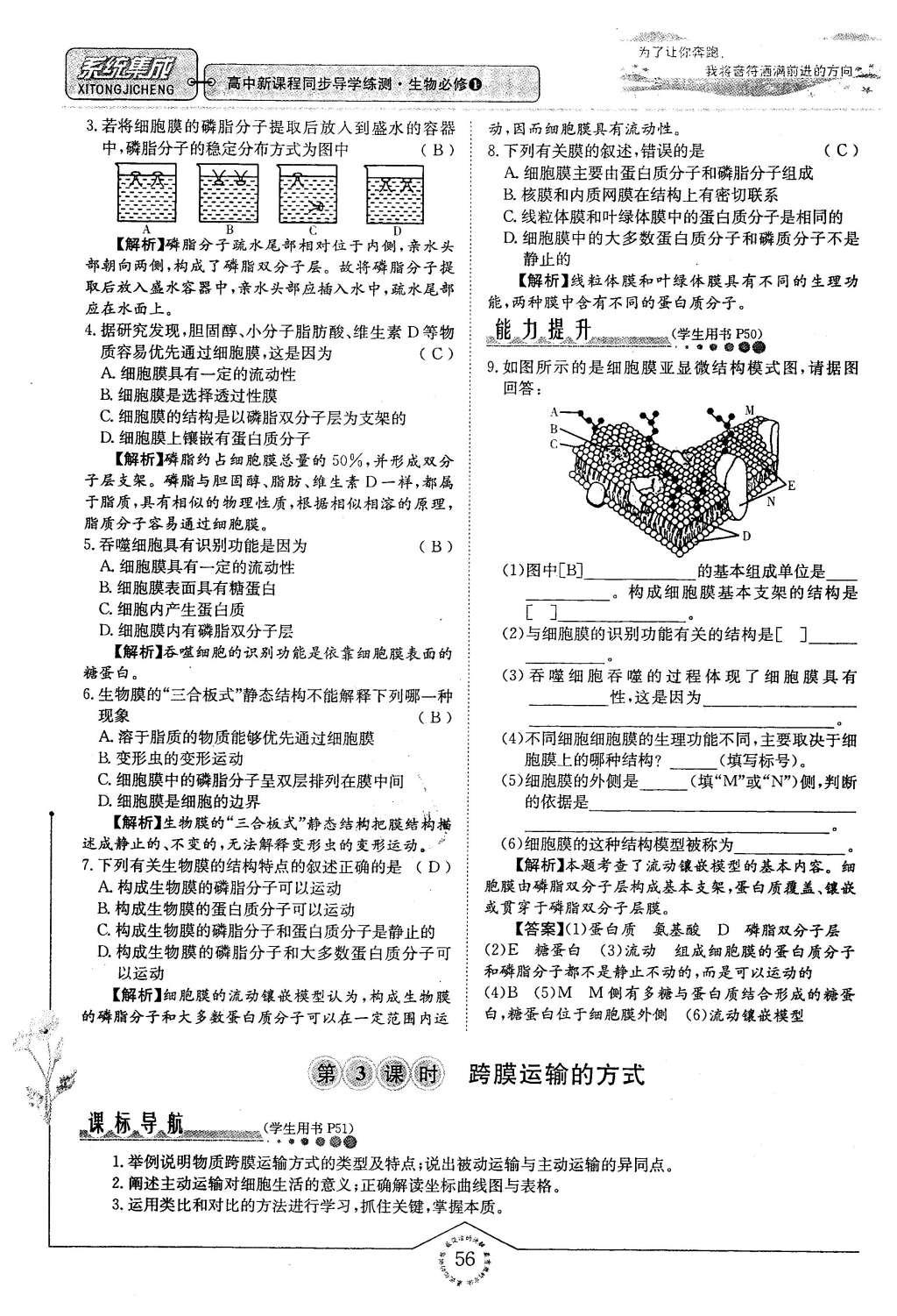 2015年系統(tǒng)集成高中新課程同步導(dǎo)學(xué)練測生物必修1分子與細(xì)胞 主題三 細(xì)胞的新陳代謝第49頁