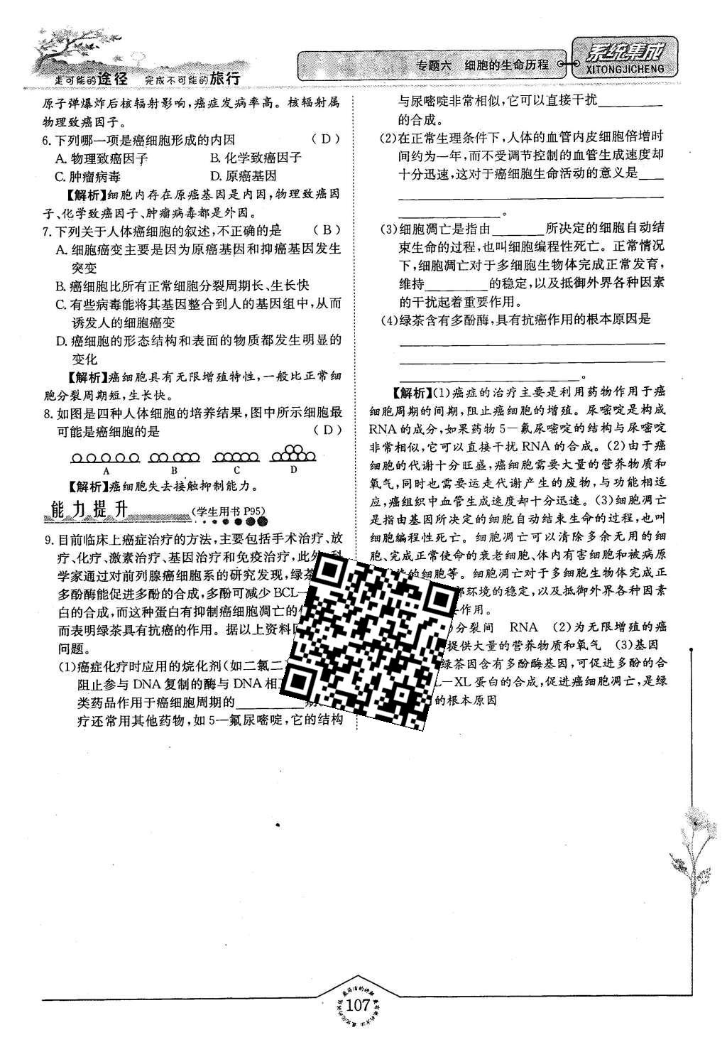 2015年系統集成高中新課程同步導學練測生物必修1分子與細胞 主題四 細胞的增殖、分化、衰老和凋亡第39頁